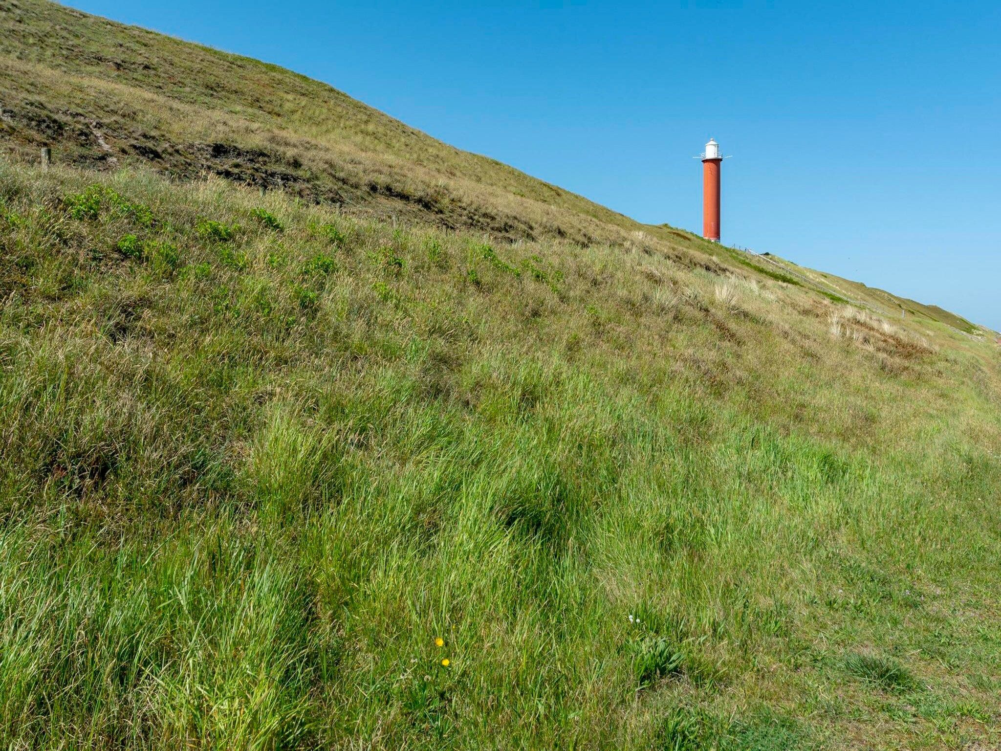 De omgeving van Strandleven 006 in Groote Keeten