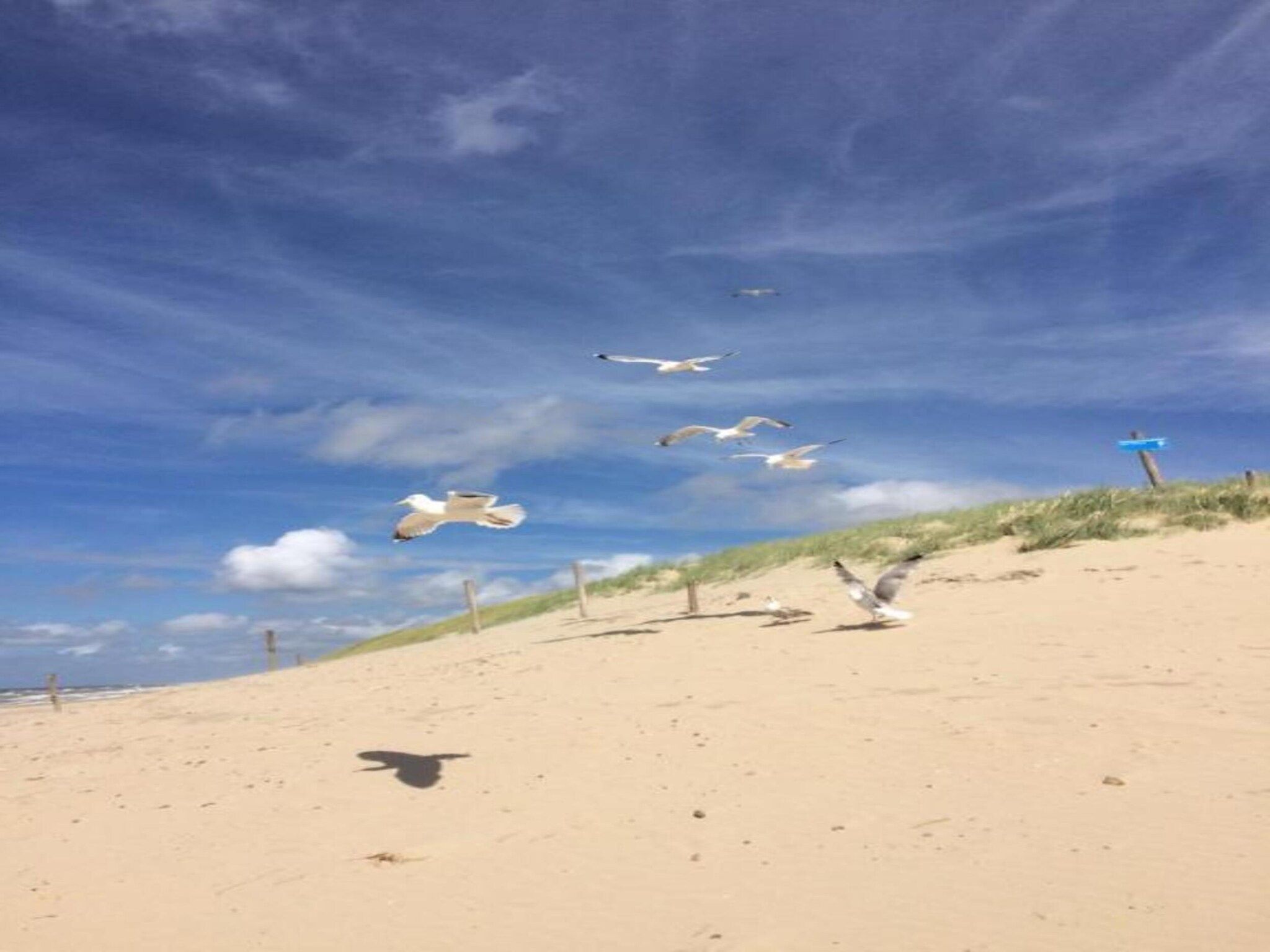 Strandslag 217 in Julianadorp aan Zee - Foto 23 van 34