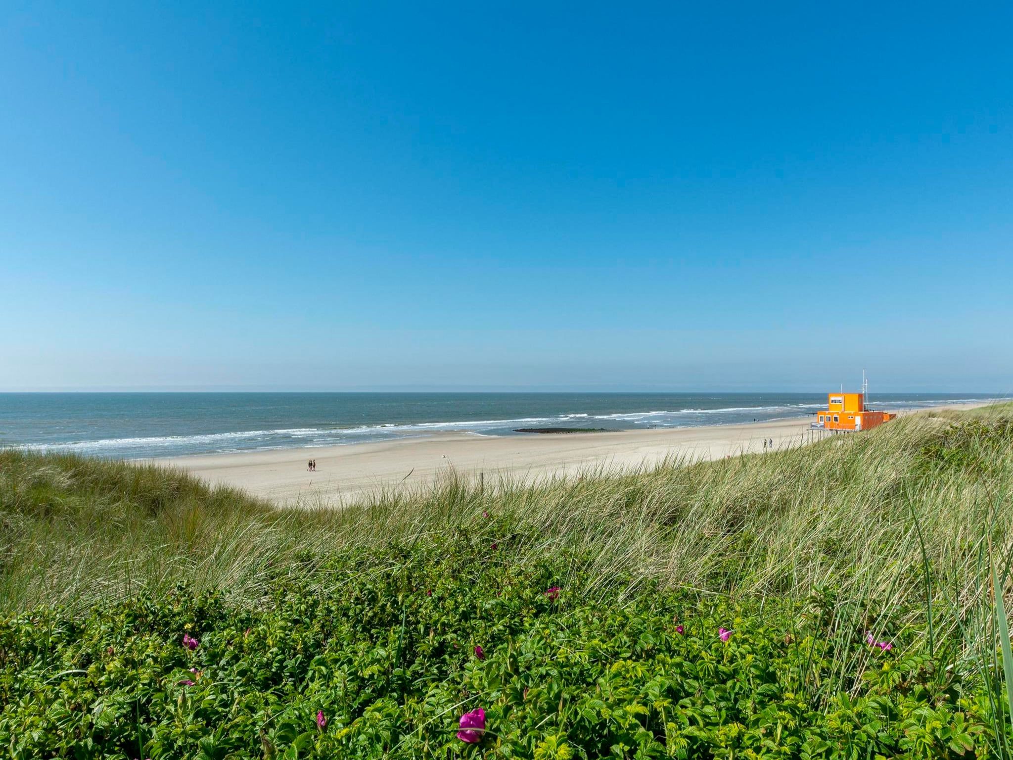 De omgeving van Suite Duinzicht in Callantsoog