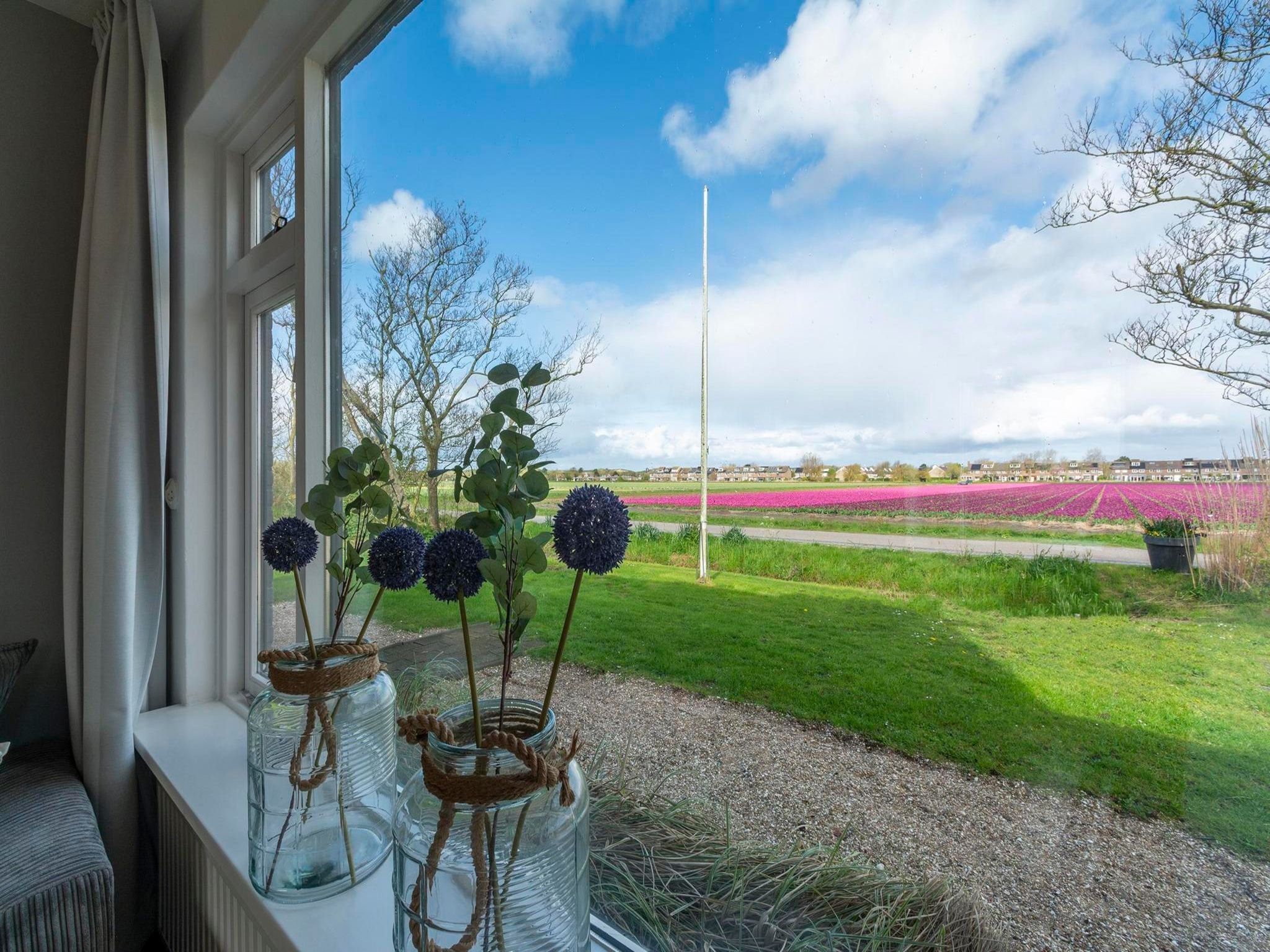Het uitzicht vanaf Villa Zuidwester in Callantsoog