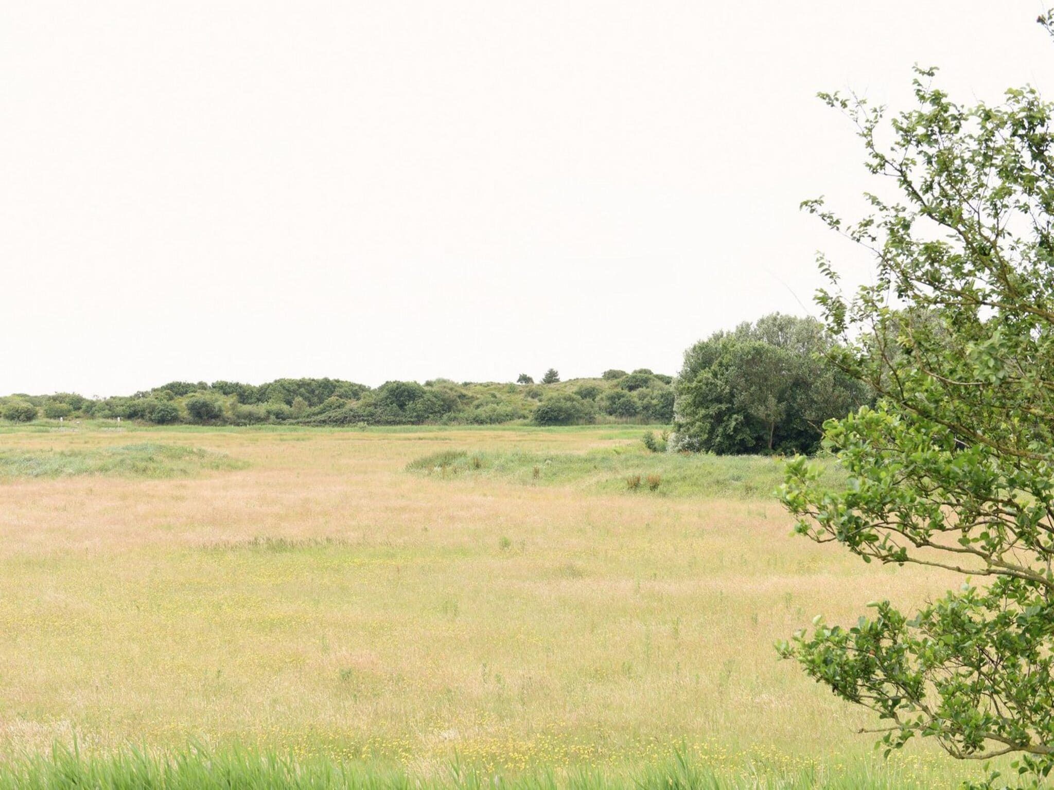 Het uitzicht vanaf Vossehoeck 4 in Callantsoog