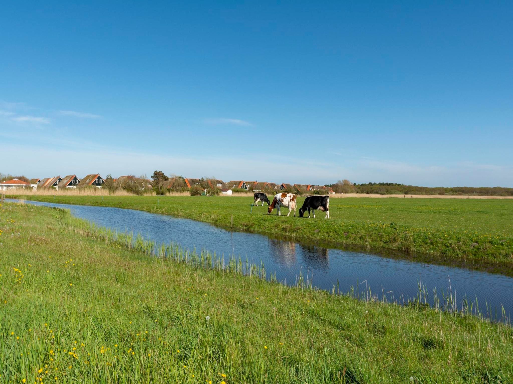 De Buitenplaats 42 in Callantsoog - Foto 19 van 19