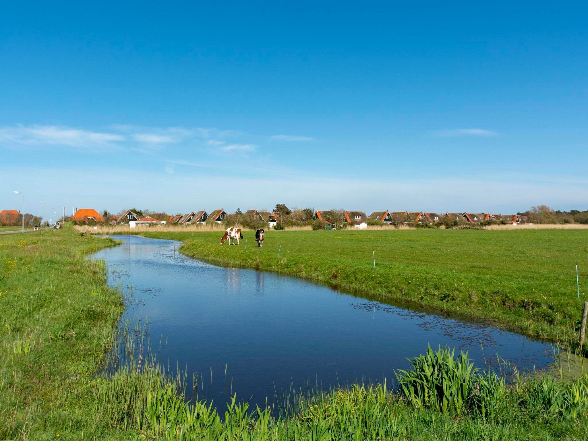 De omgeving van De Buitenplaats 7 in Callantsoog
