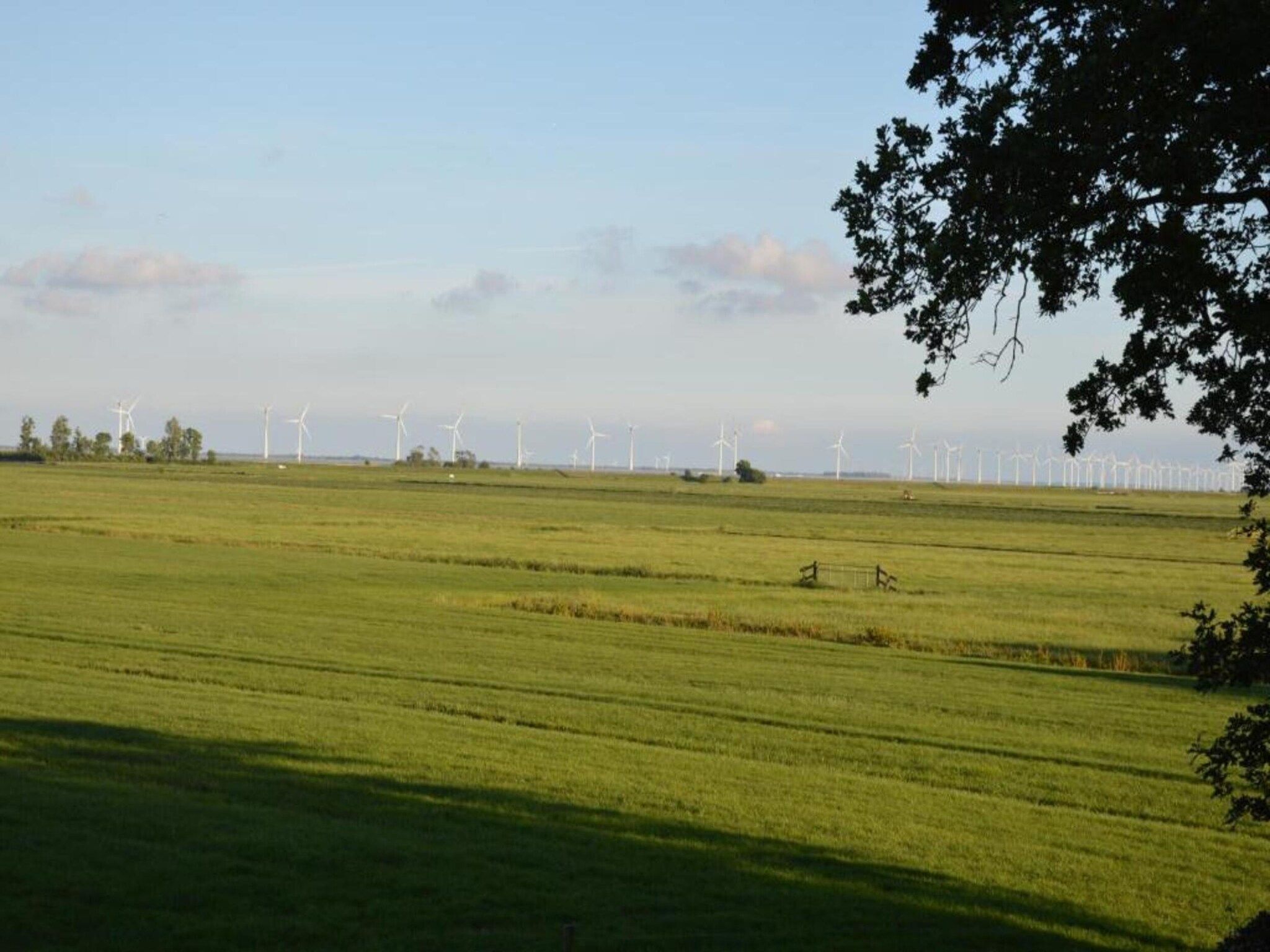 De omgeving van 4-persoons bungalow Sondel 16 in Sondel