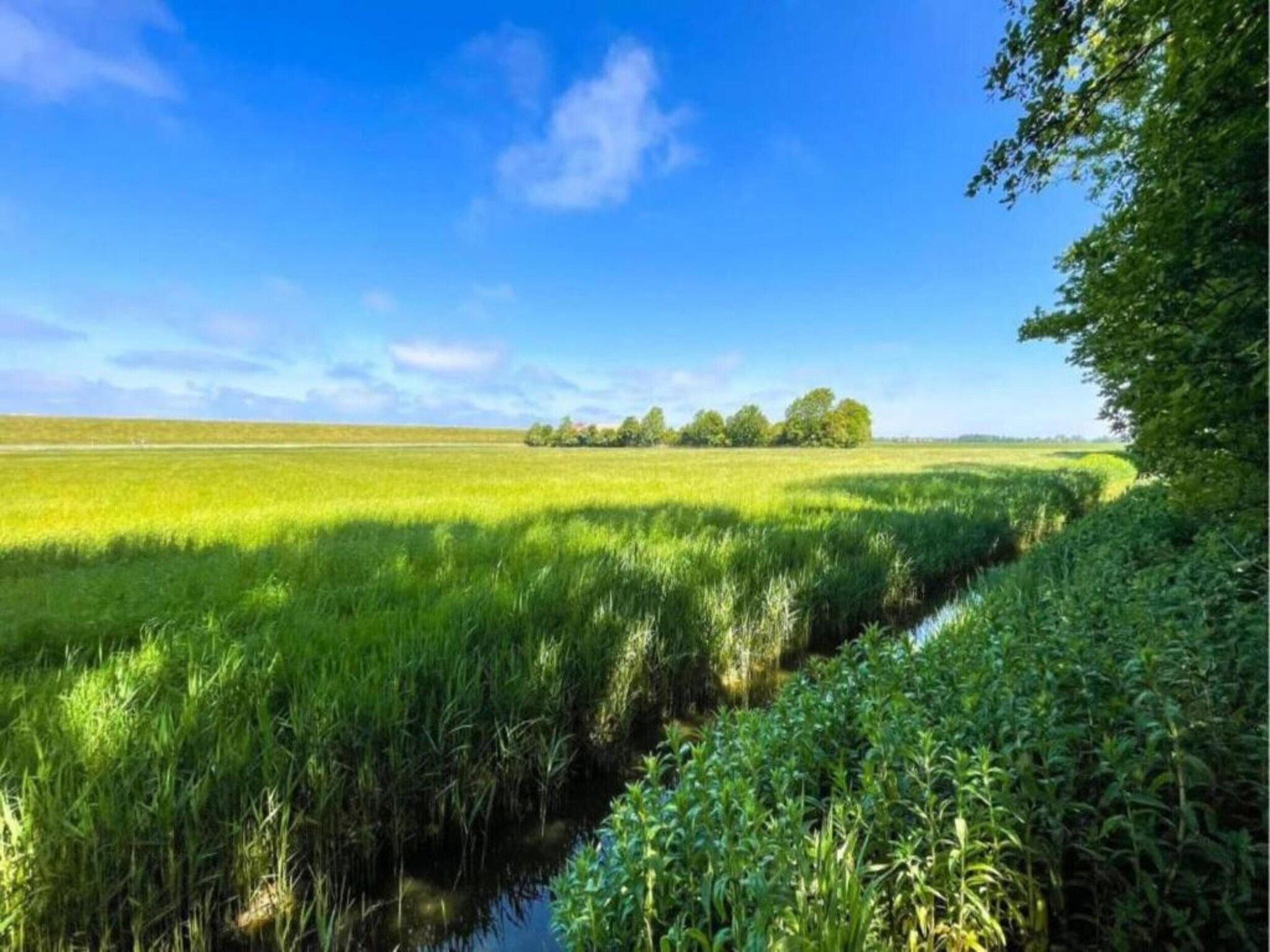 De omgeving van 4-persoons bungalow Sondel 16 in Sondel