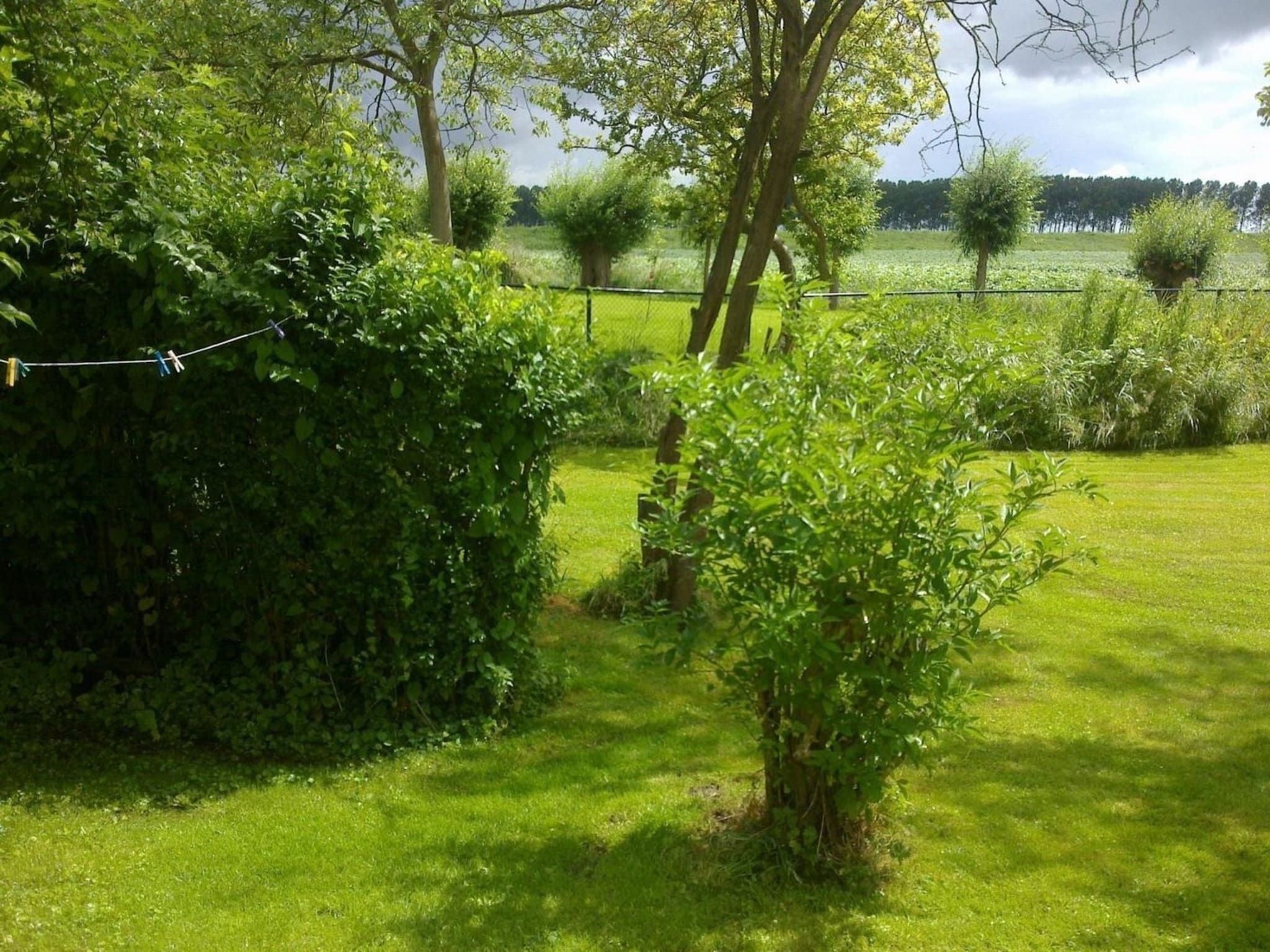 De tuin van Nummer Één 26a Hoofdplaat in Hoofdplaat