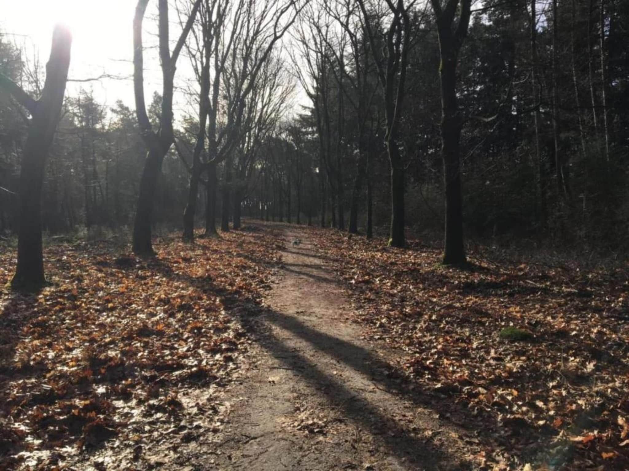Dorpswoning Op Niveau 4 in Leende - Foto 21 van 38