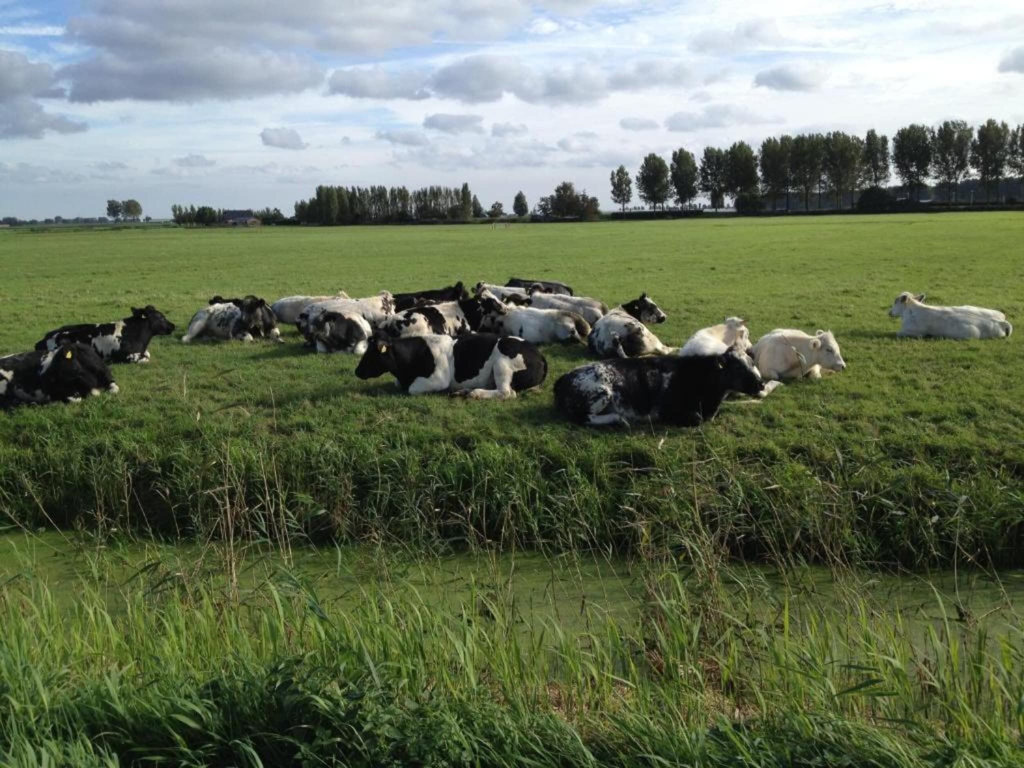 Standaard 329 in Simonshaven - Foto 17 van 37