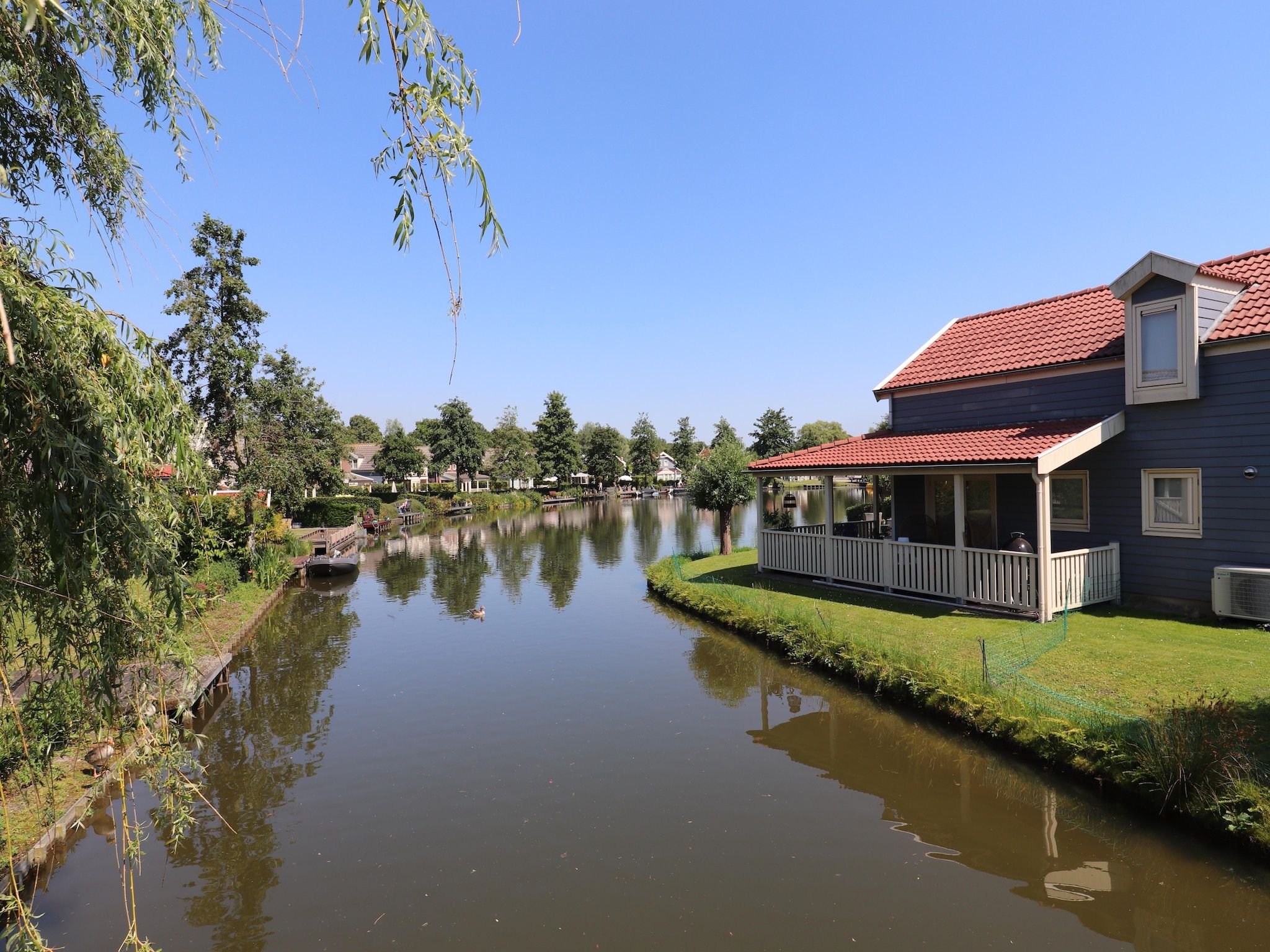 De omgeving van Standaard 207 in Simonshaven