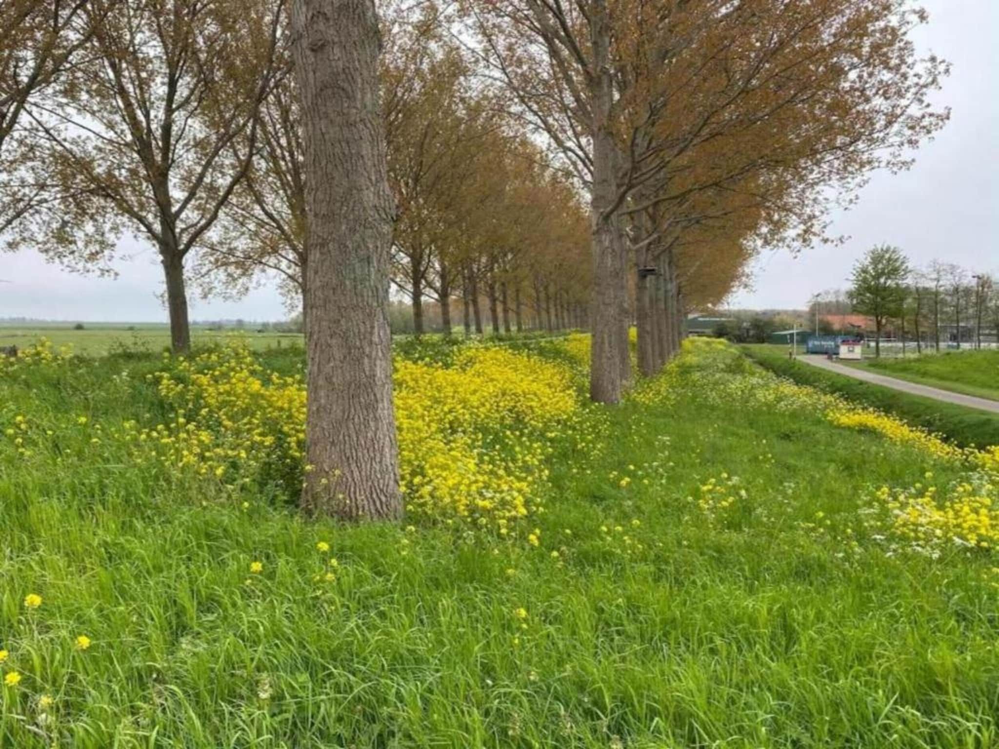 Standaard 336 in Simonshaven - Foto 12 van 31