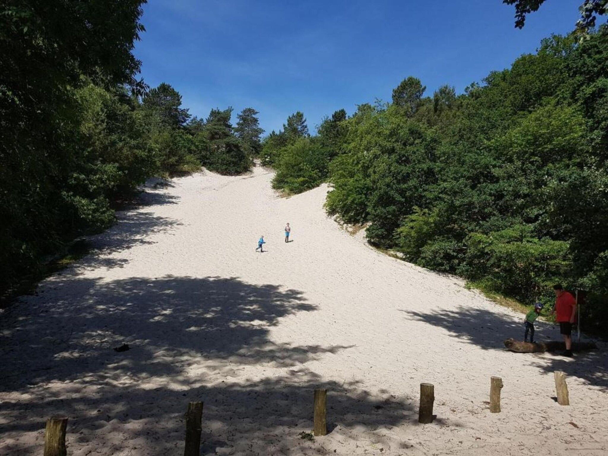 De Veldwachter in 't Zand - Foto 36 van 40