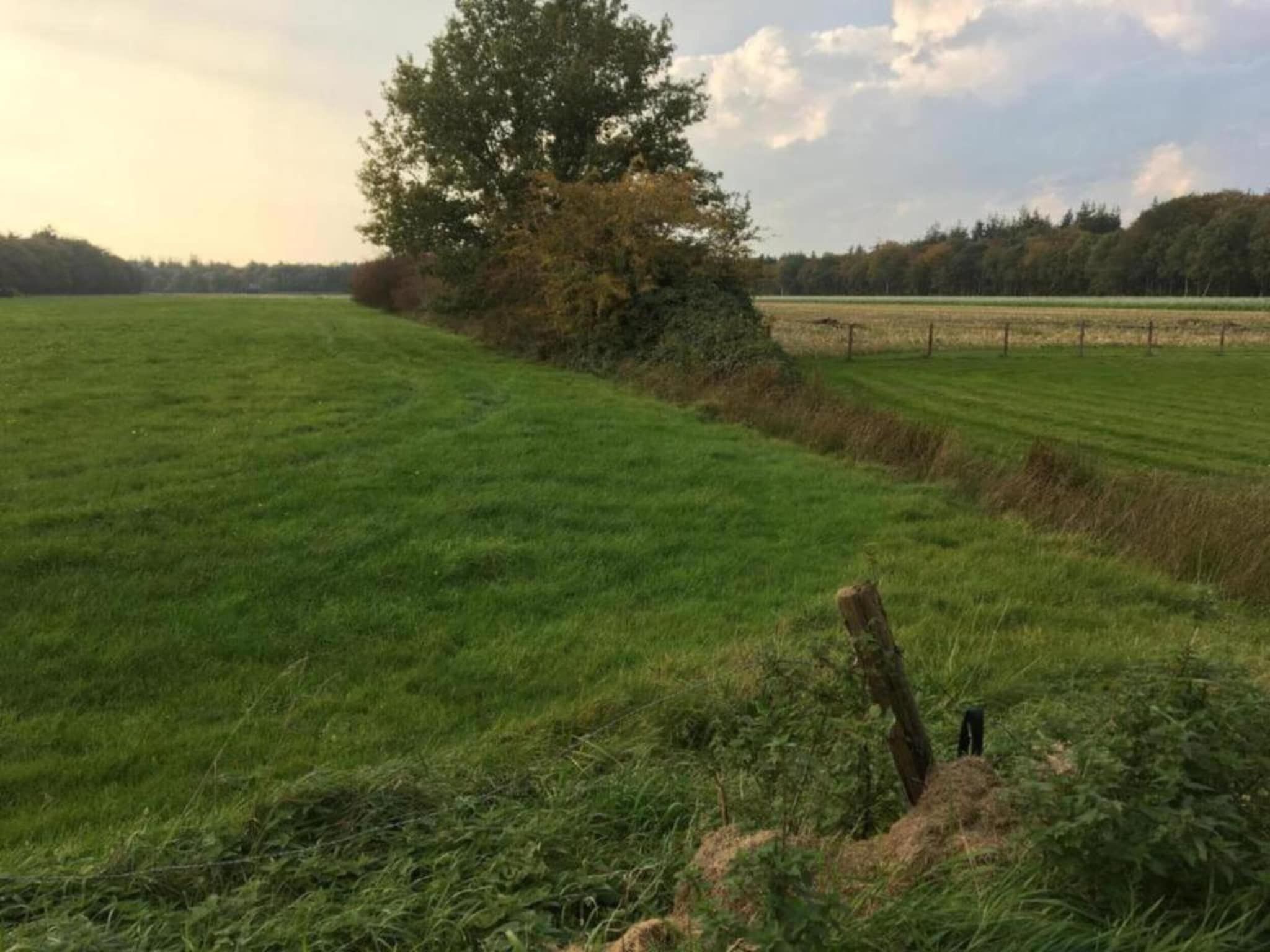Boerderijchalet in Sint Nicolaasga - Foto 18 van 40