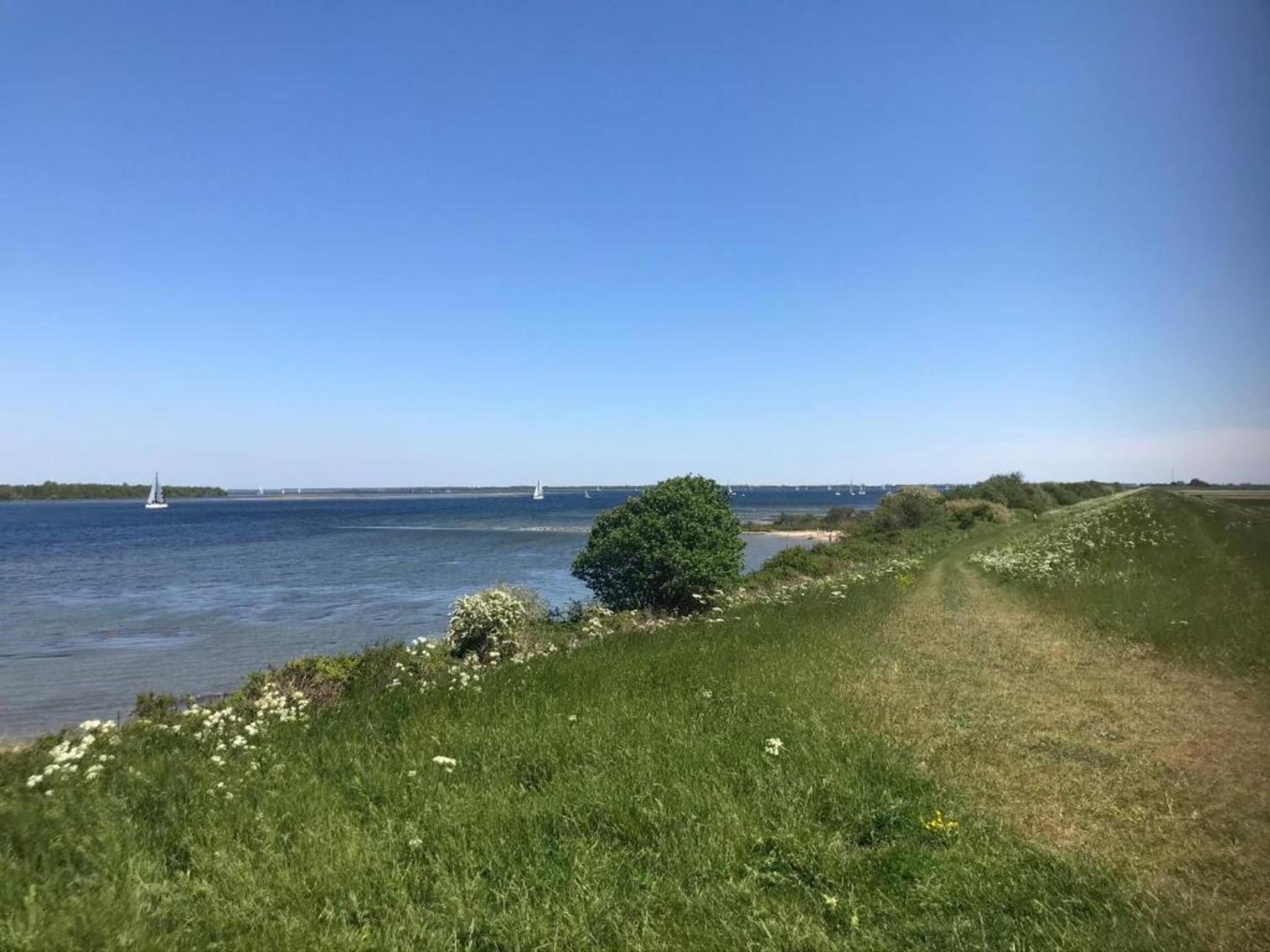B&B de Gouwe Tijd in Noordgouwe - Foto 19 van 38