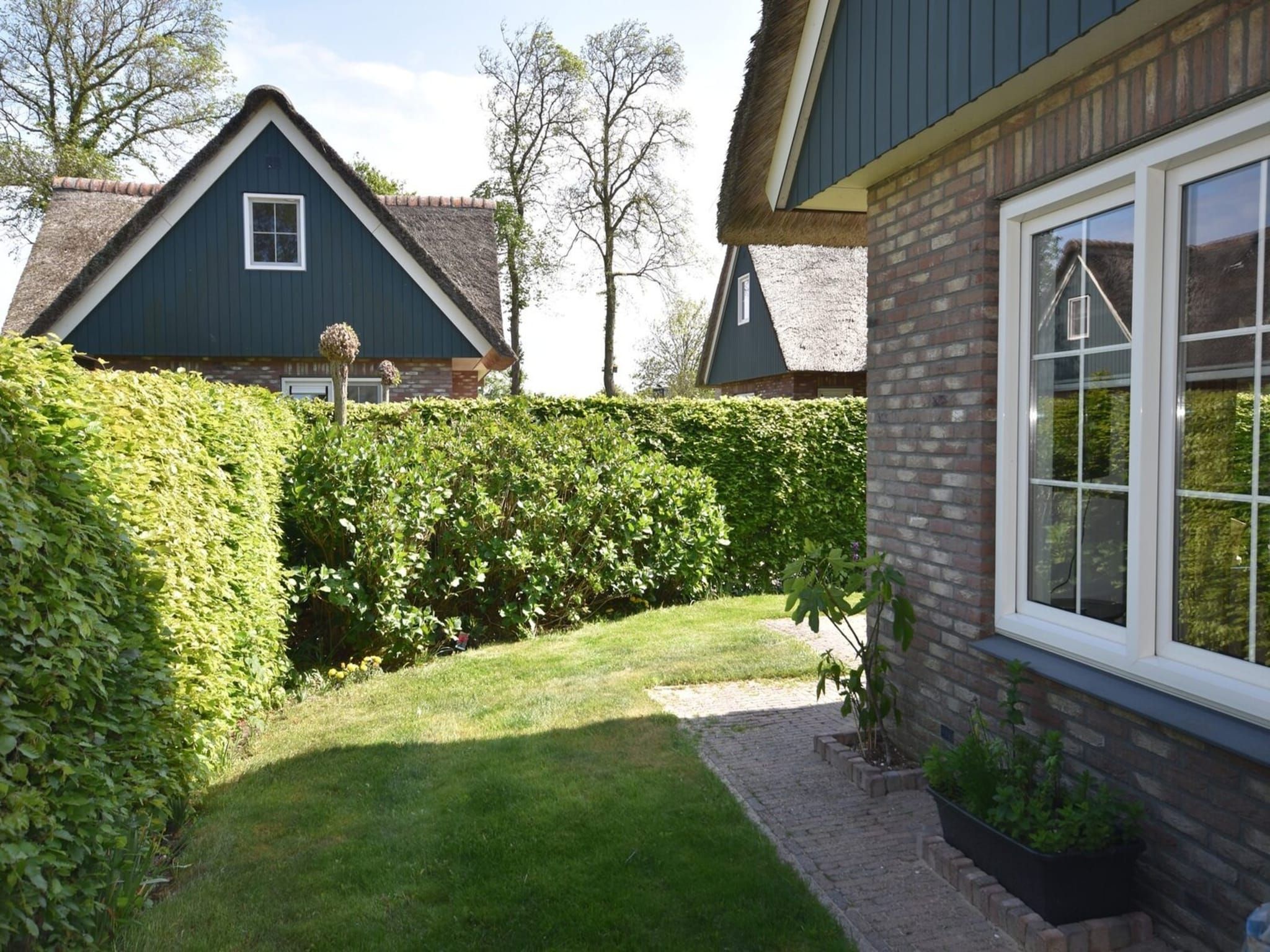 De tuin van Anzelhoef 11 in Sint Maartenszee