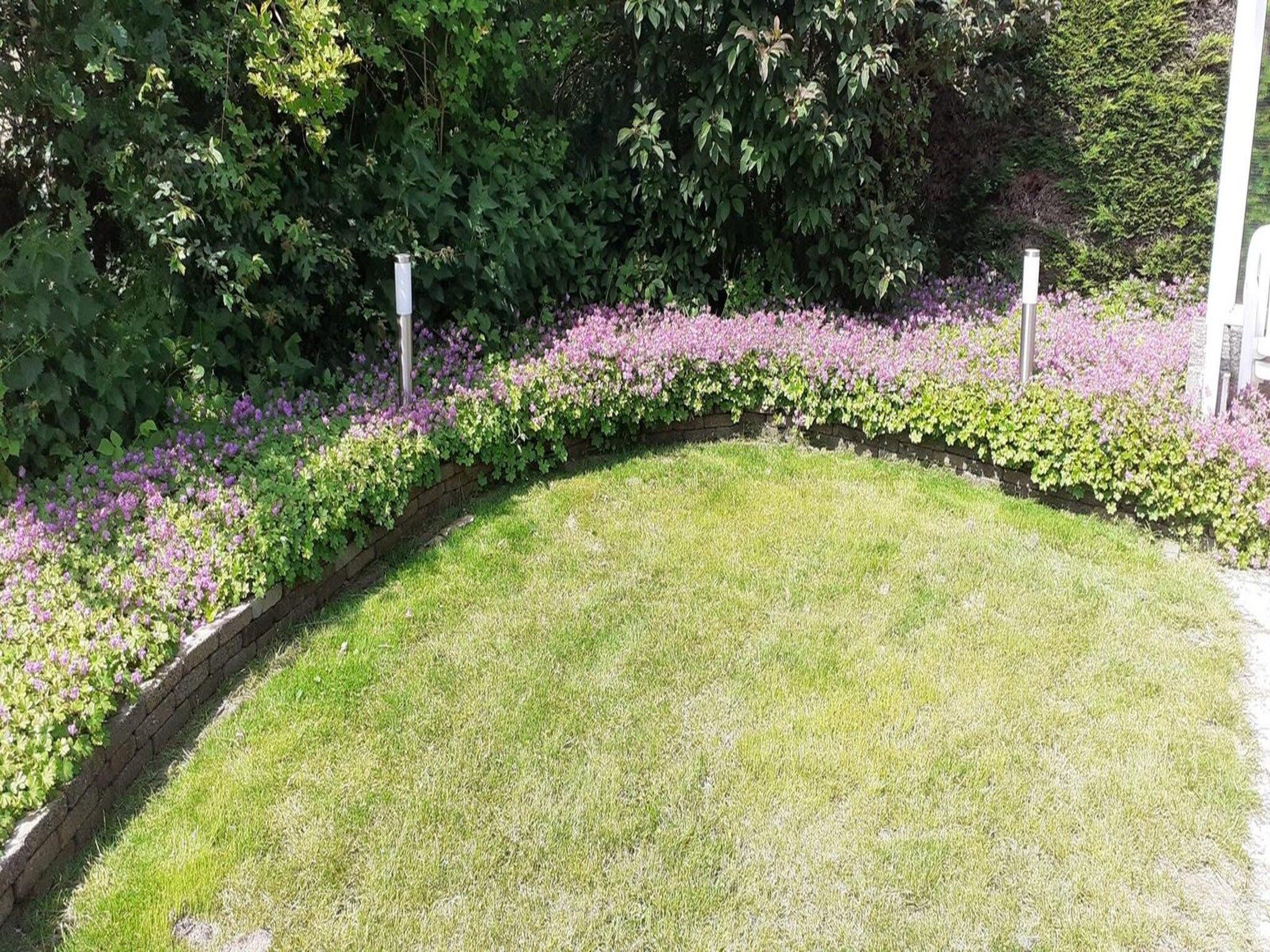 De tuin van Bohemien 27 in Sint Maartenszee
