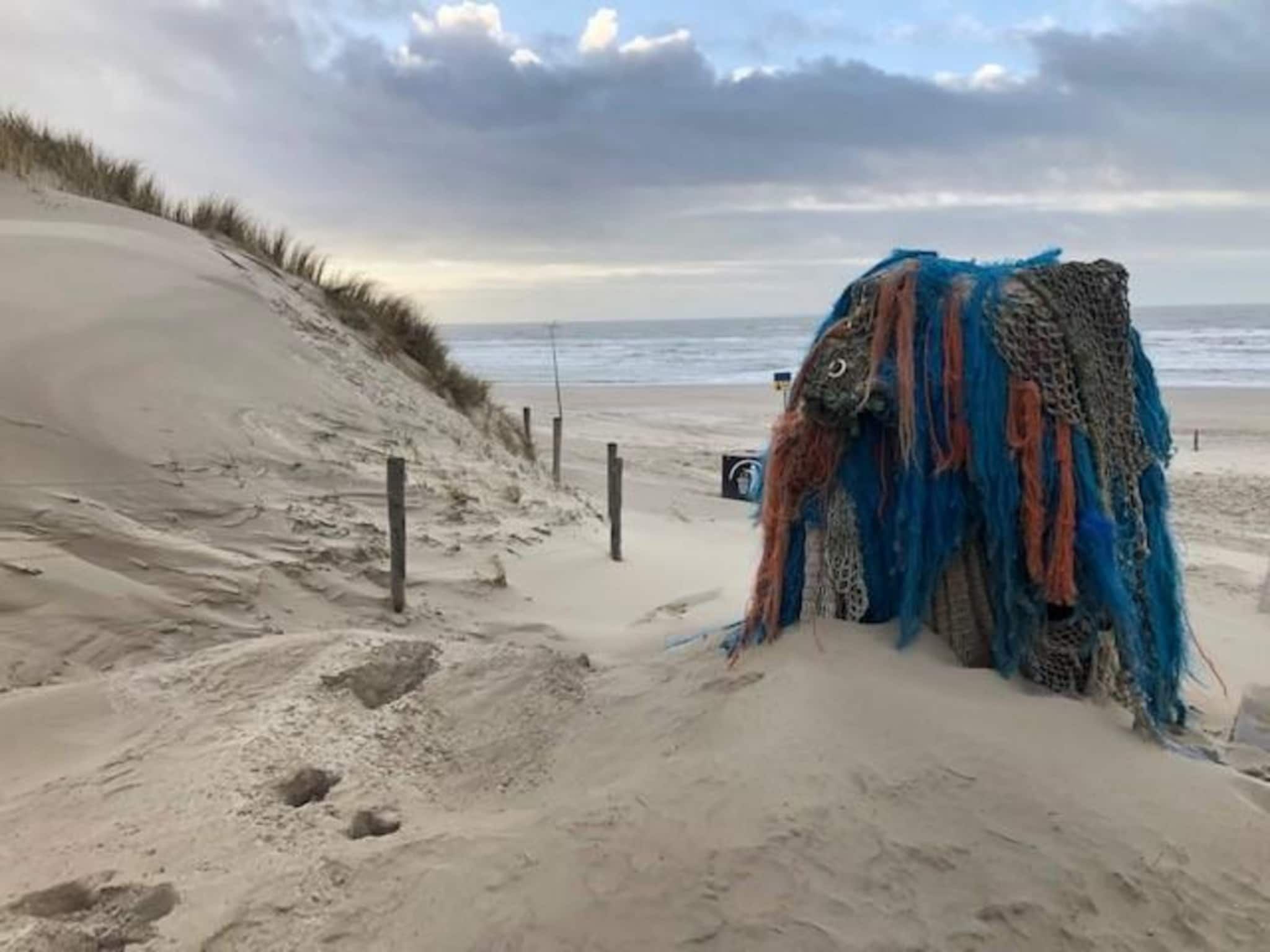 De omgeving van De Schelp 24 in Sint Maartenszee