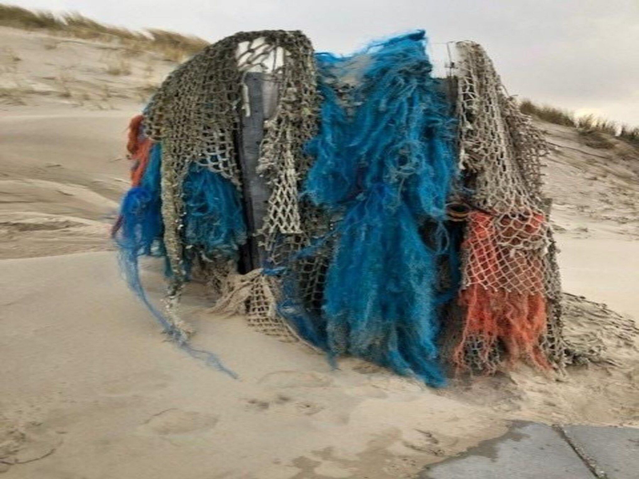 Sfeerbeeld van De Schelp 24 in Sint Maartenszee