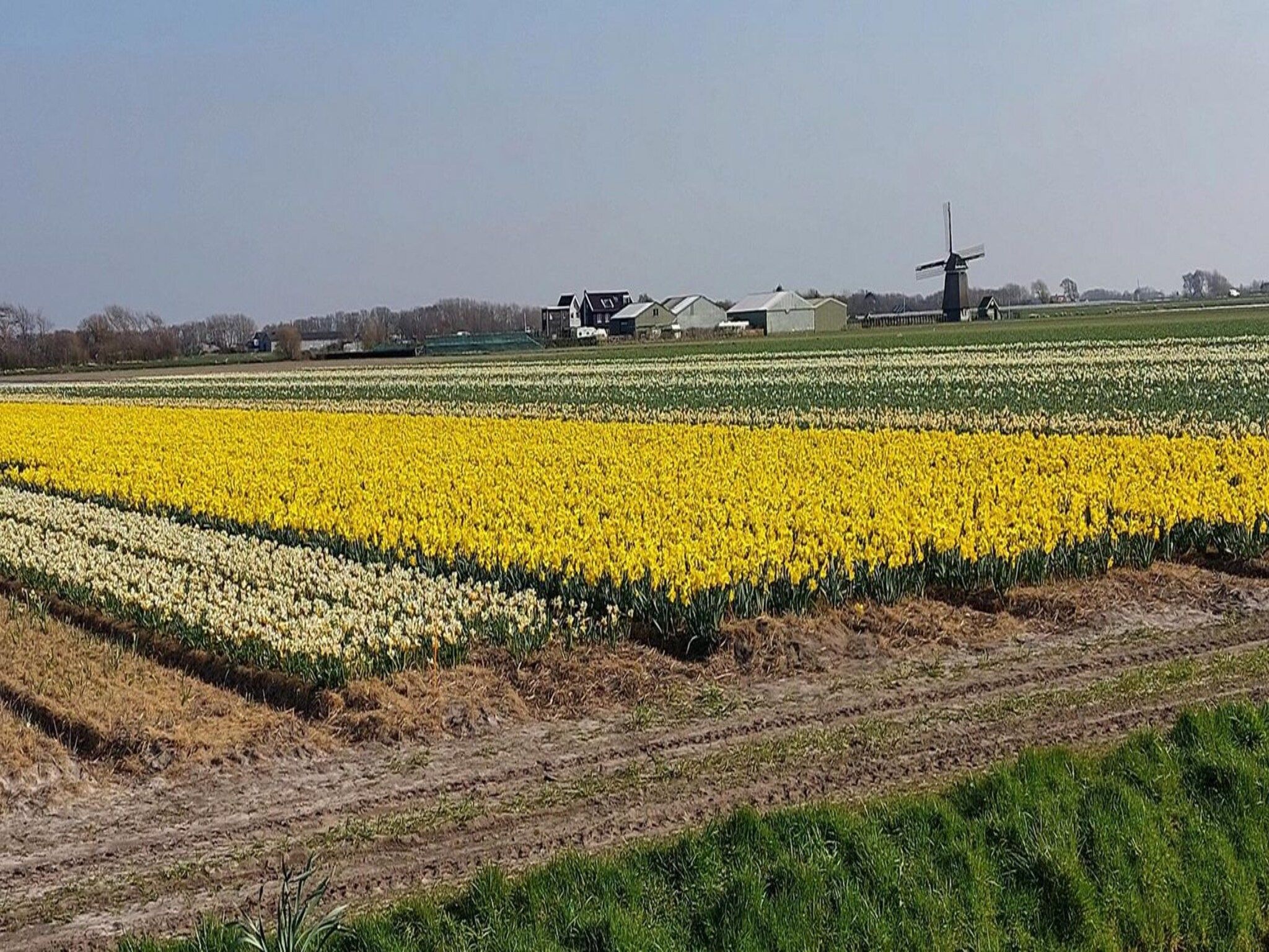 De omgeving van Eureka 13 in Sint Maartenszee