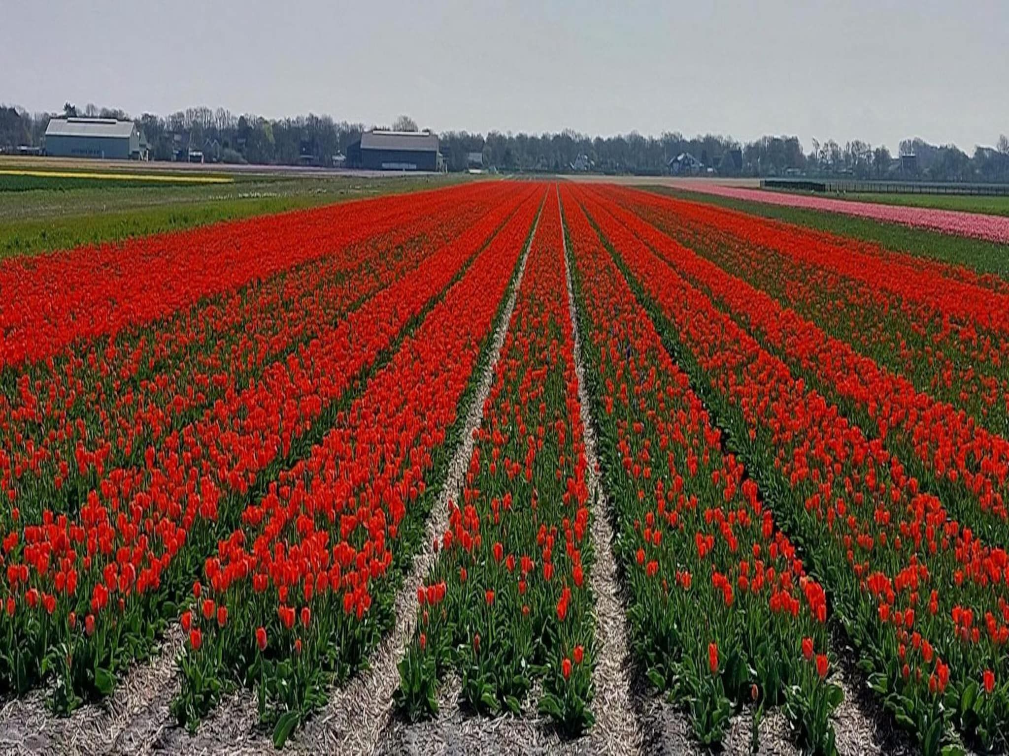 De omgeving van Eureka 13 in Sint Maartenszee