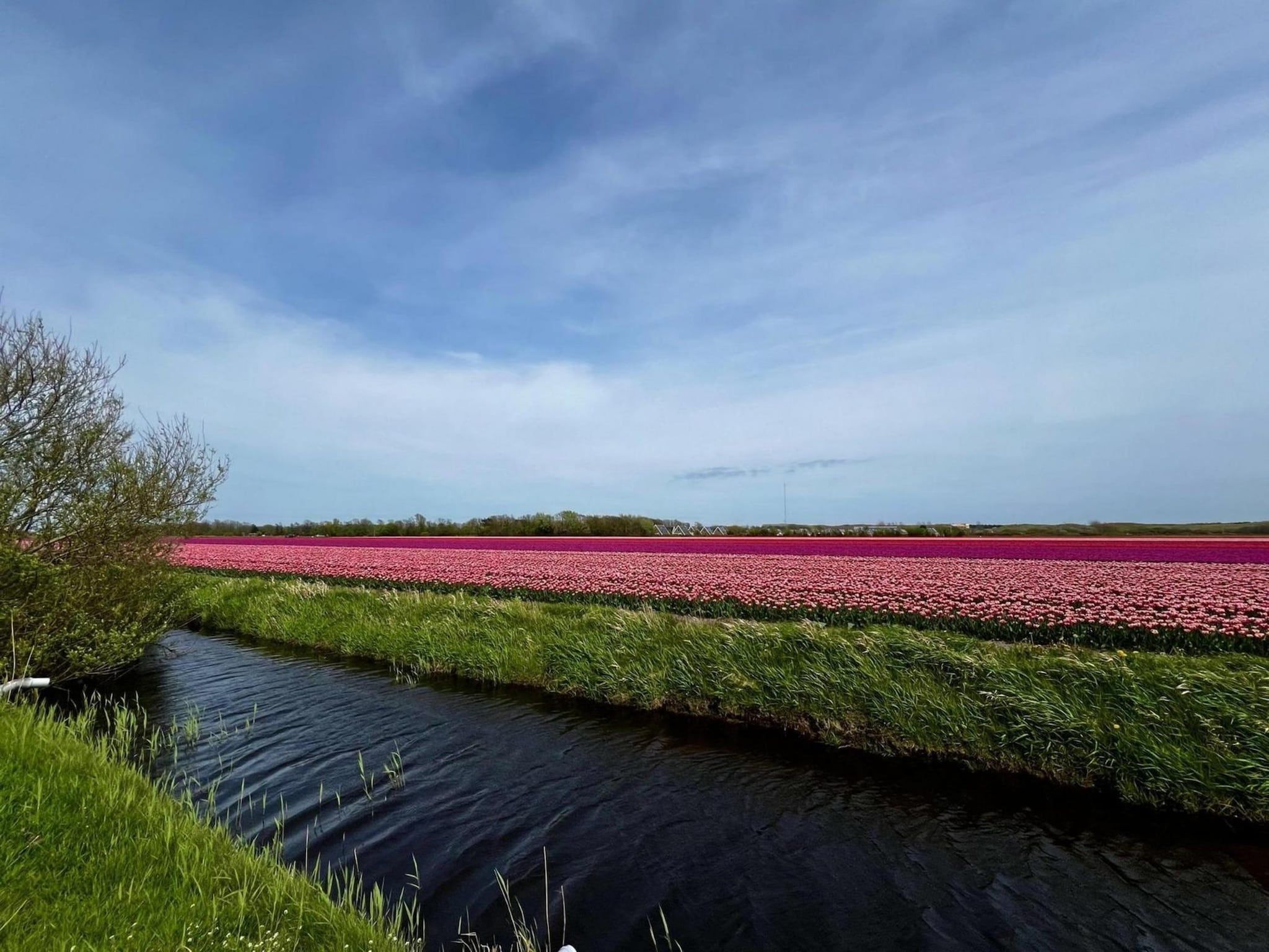 De tuin van De Schelp 27 in Sint Maartenszee