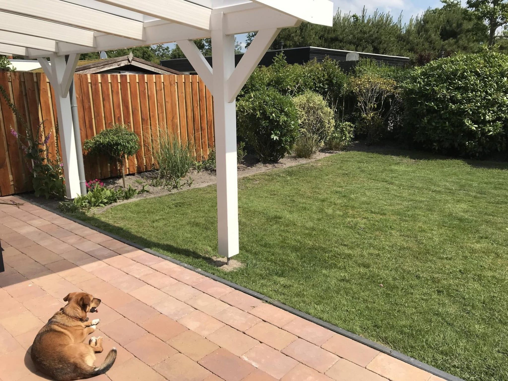 De tuin van Wildrijk 065 in Sint Maartenszee