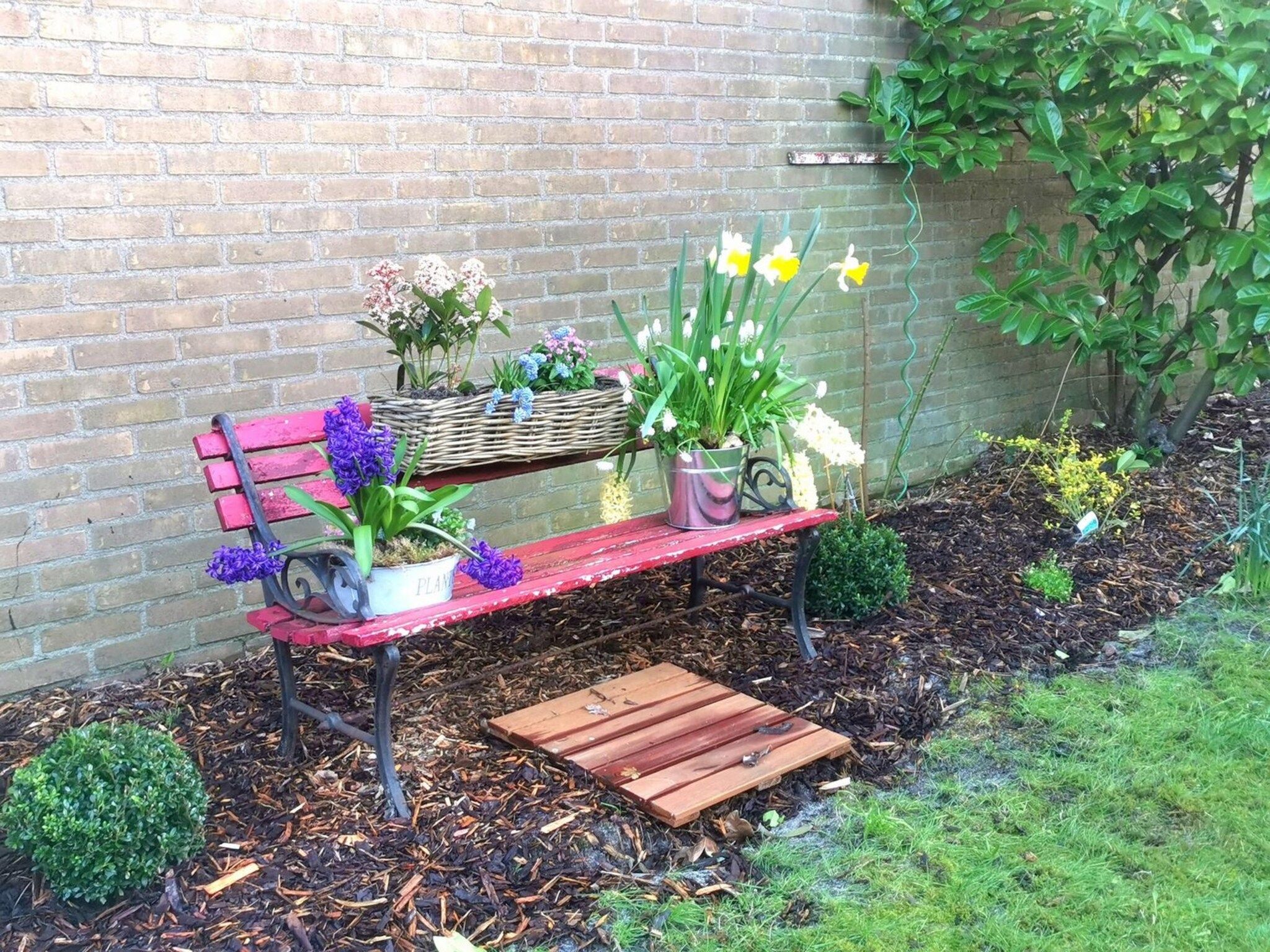 De tuin van Wildrijk 108 in Sint Maartenszee