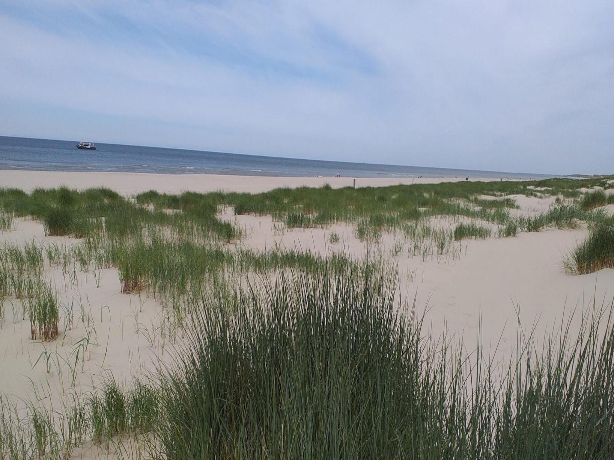 De omgeving van Eureka 015 - "Kalliste" in Sint Maartenszee