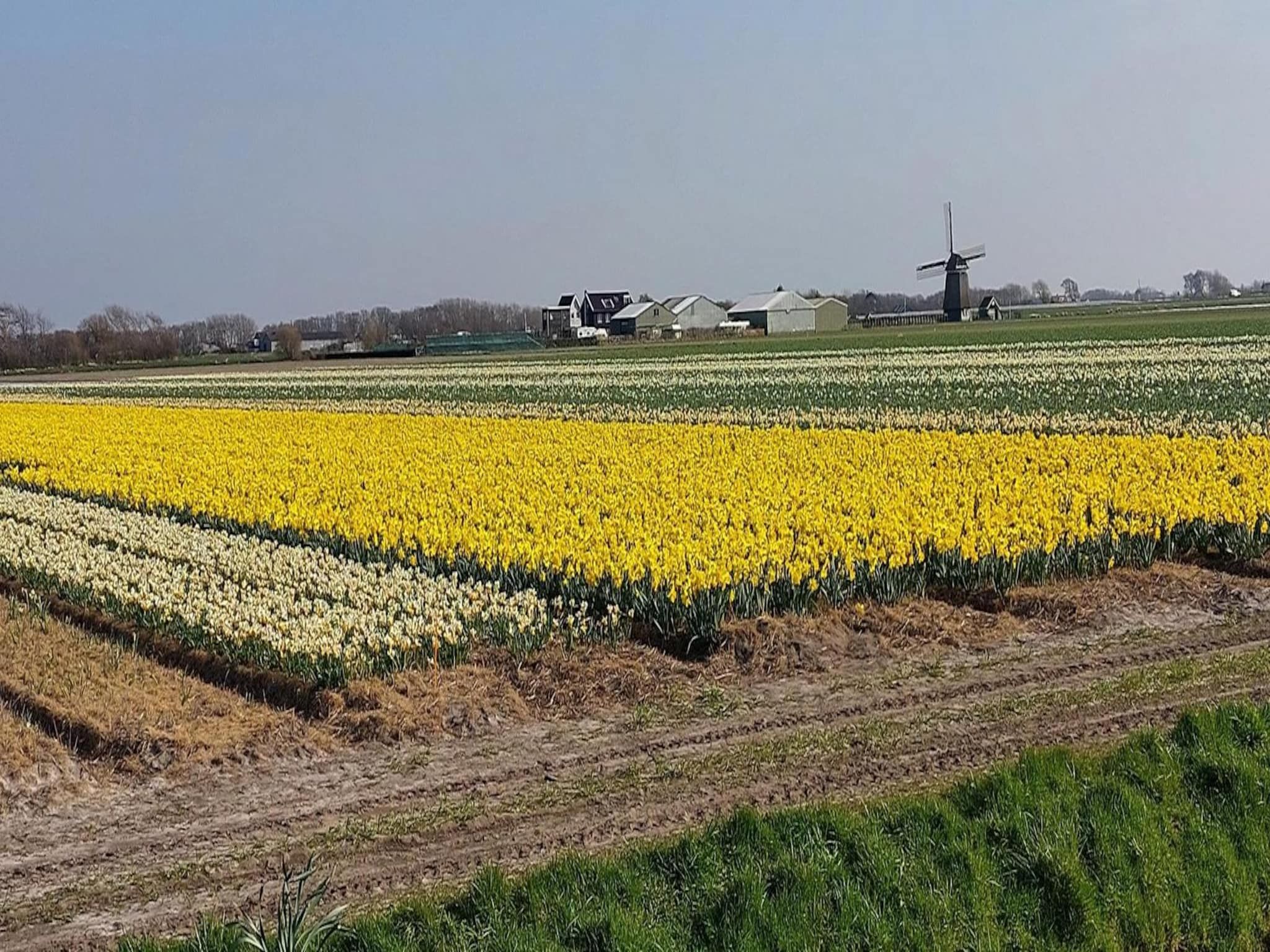 Het uitzicht vanaf Eureka 015 - "Kalliste" in Sint Maartenszee