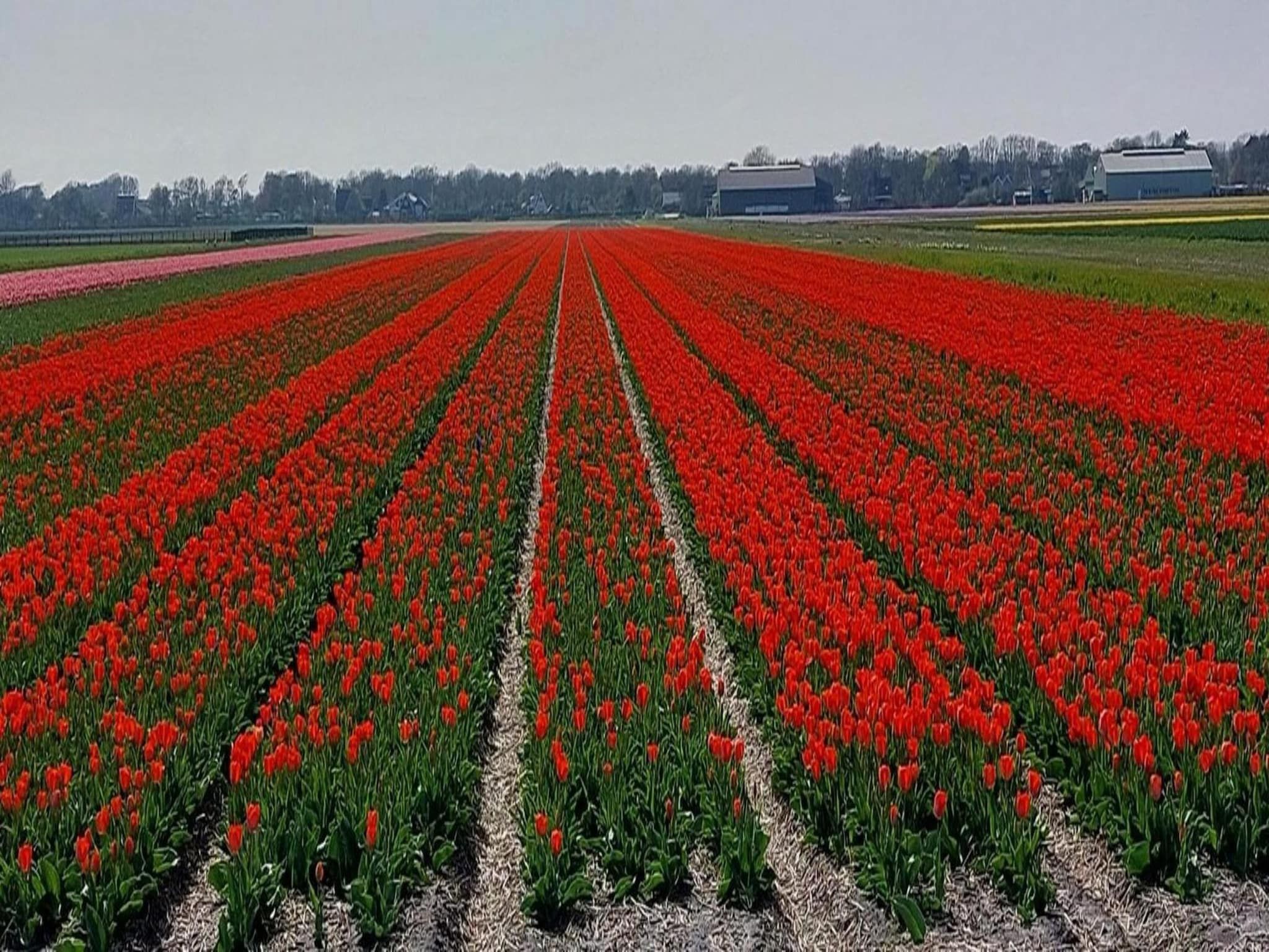 De omgeving van Eureka 015 - "Kalliste" in Sint Maartenszee
