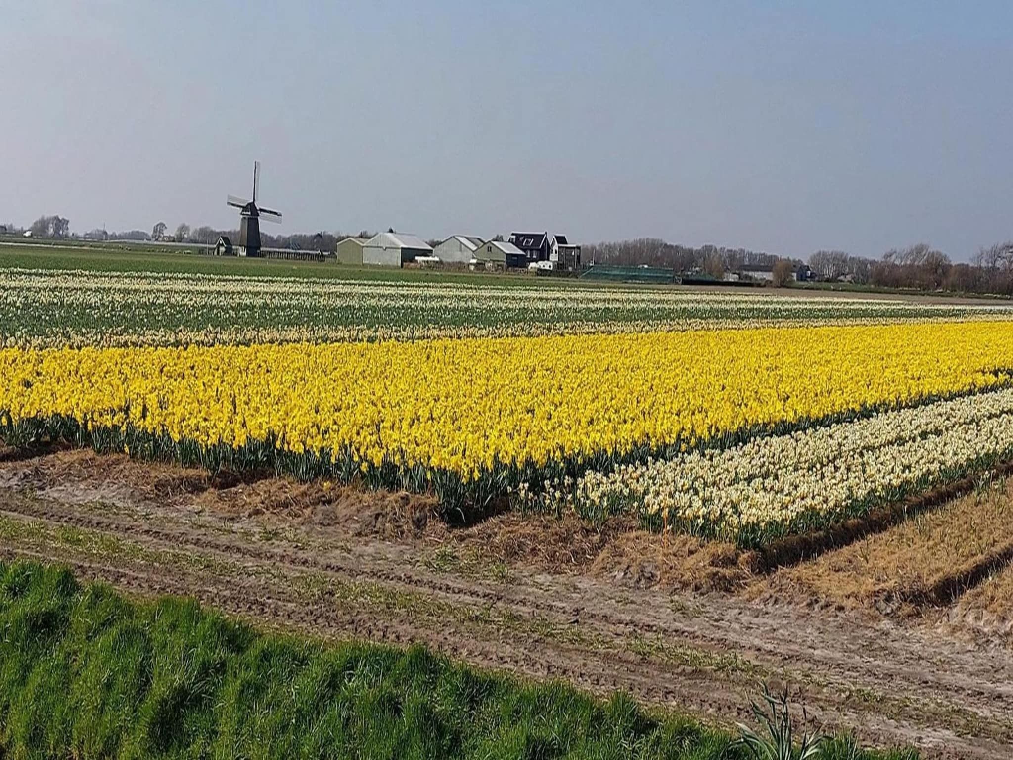 De omgeving van Eureka 015 - "Kalliste" in Sint Maartenszee