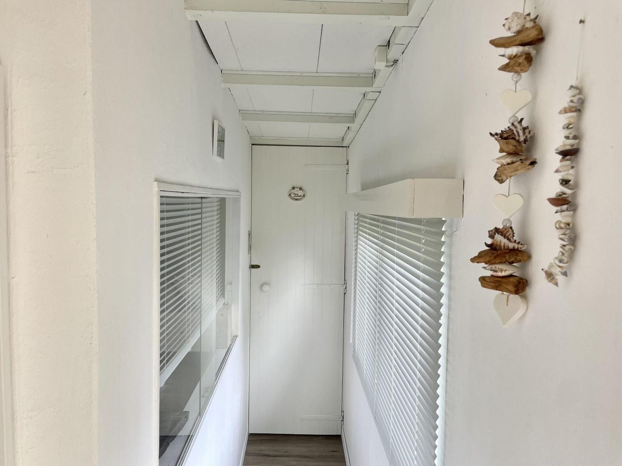 Sfeerbeeld van Campanula 173 in Sint Maartenszee