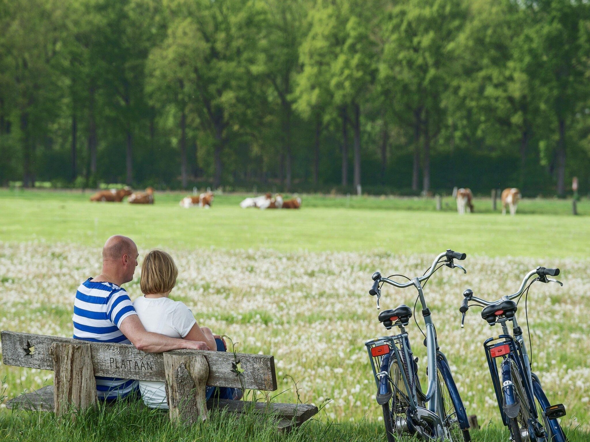 De omgeving van Holiday home 6 persons in Scherpenzeel