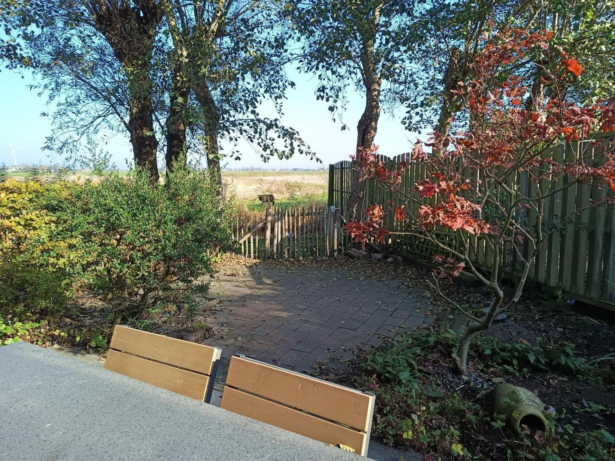 De buitenkant van Vogelvrij 3 in Sint Maartenszee