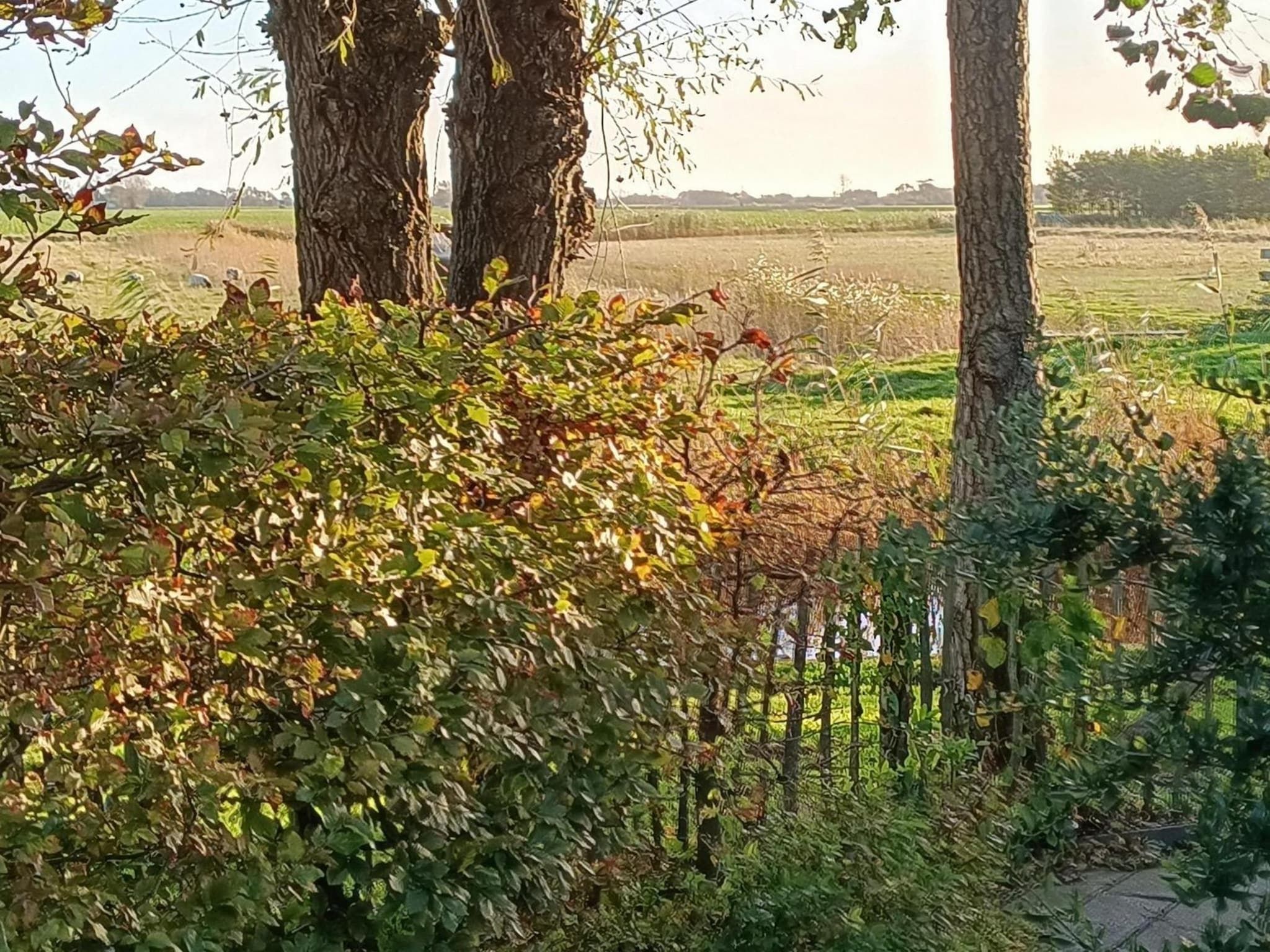 De eetkamer van Vogelvrij 3 in Sint Maartenszee