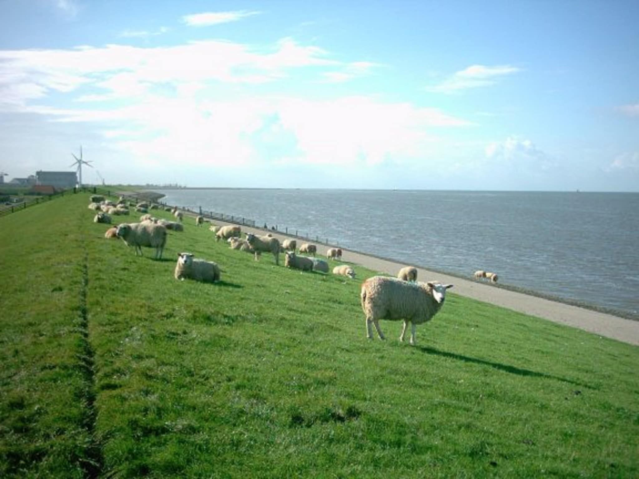 De omgeving van VT 103 in Tzummarum