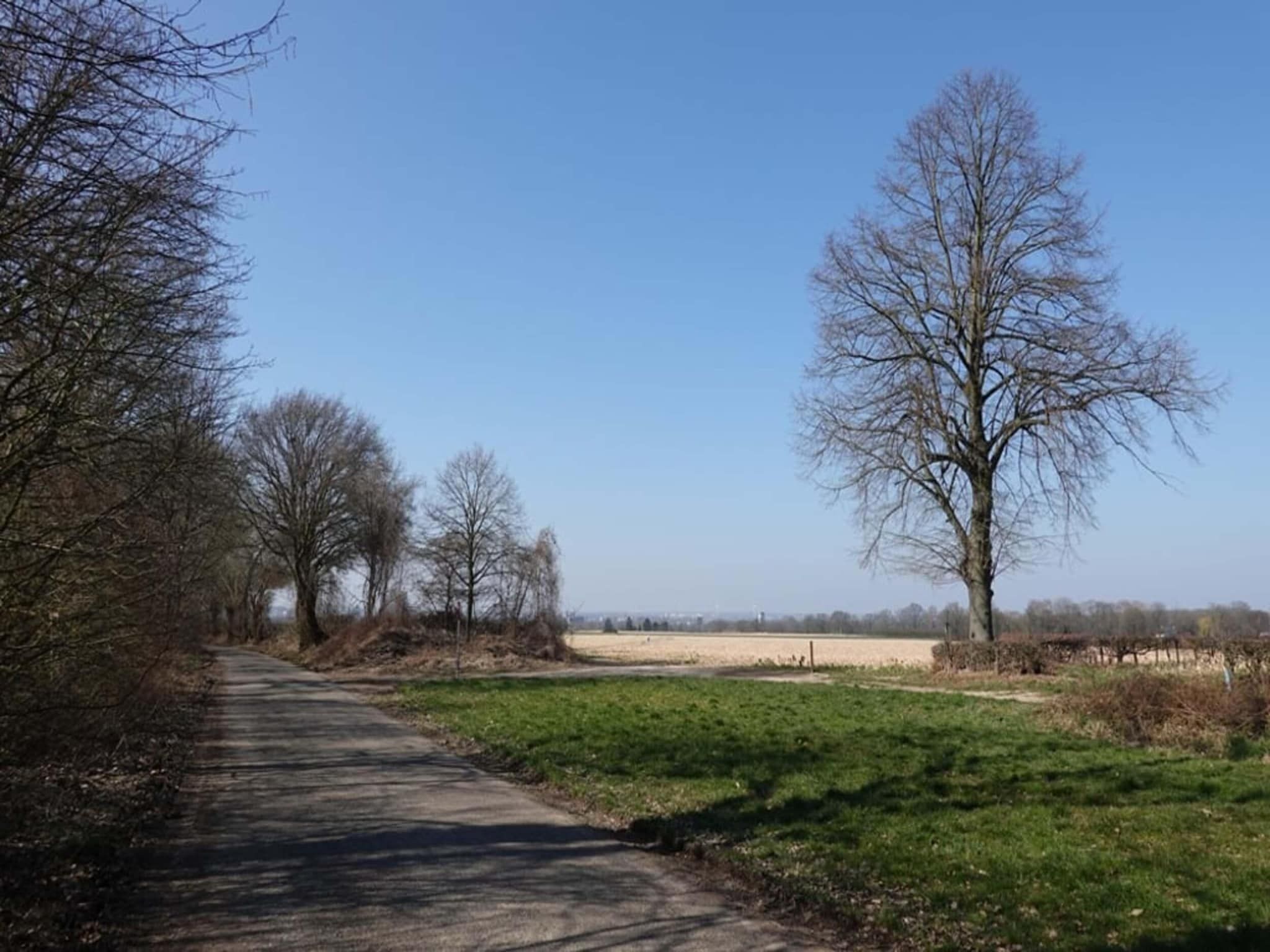 Ravenbosch - Sauna in Bemelen - Foto 22 van 40