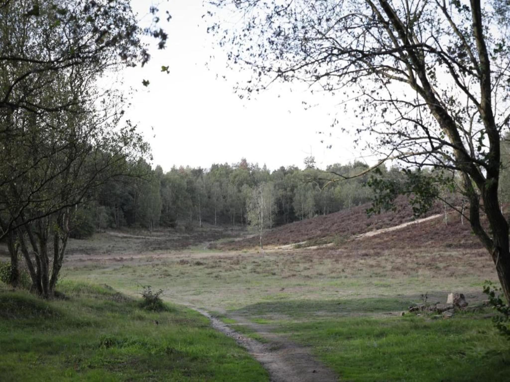 De omgeving van Vlindervallei Villa 8p in Ermelo