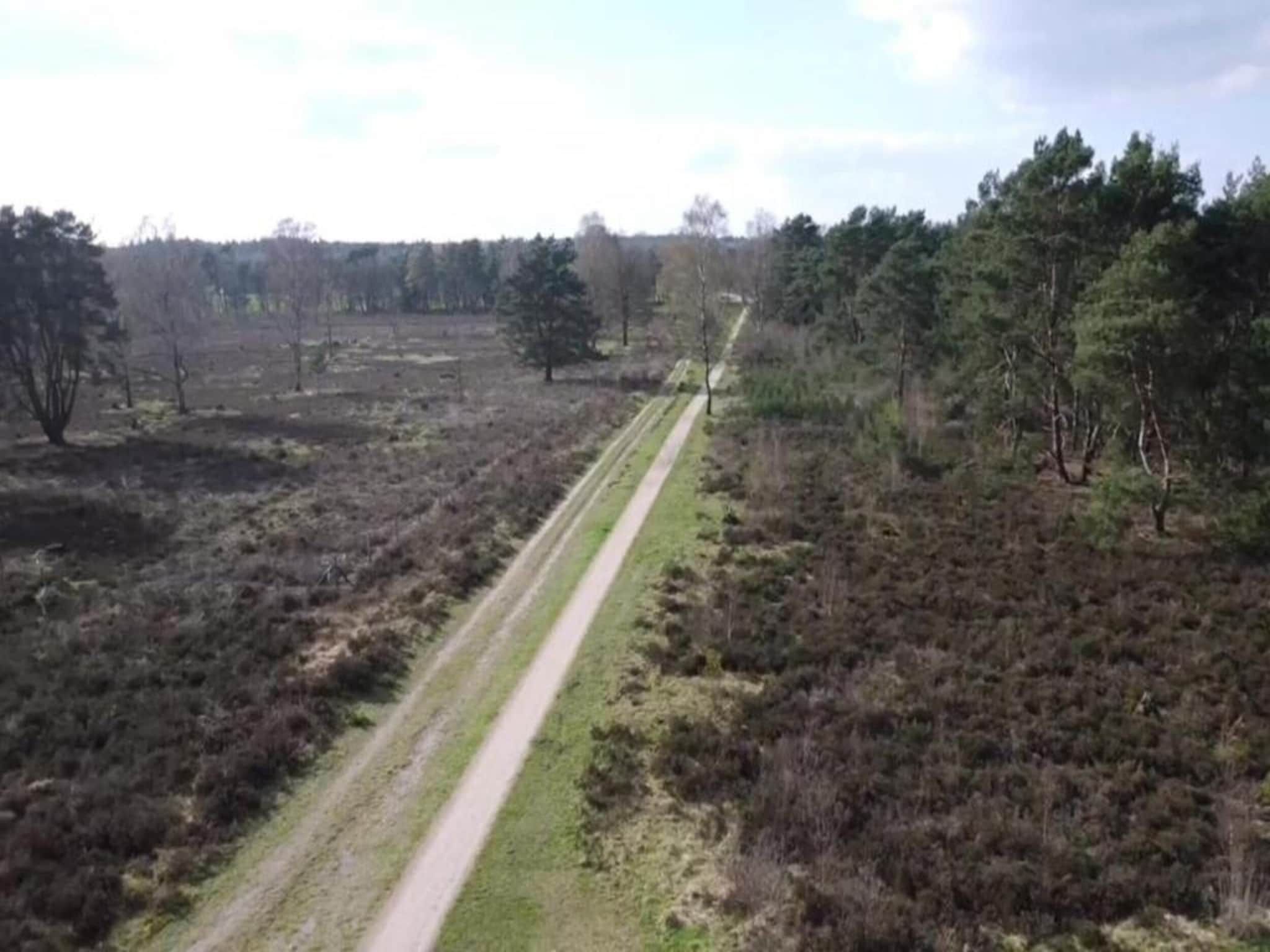 De omgeving van Heivlinder 4+2p in Ermelo