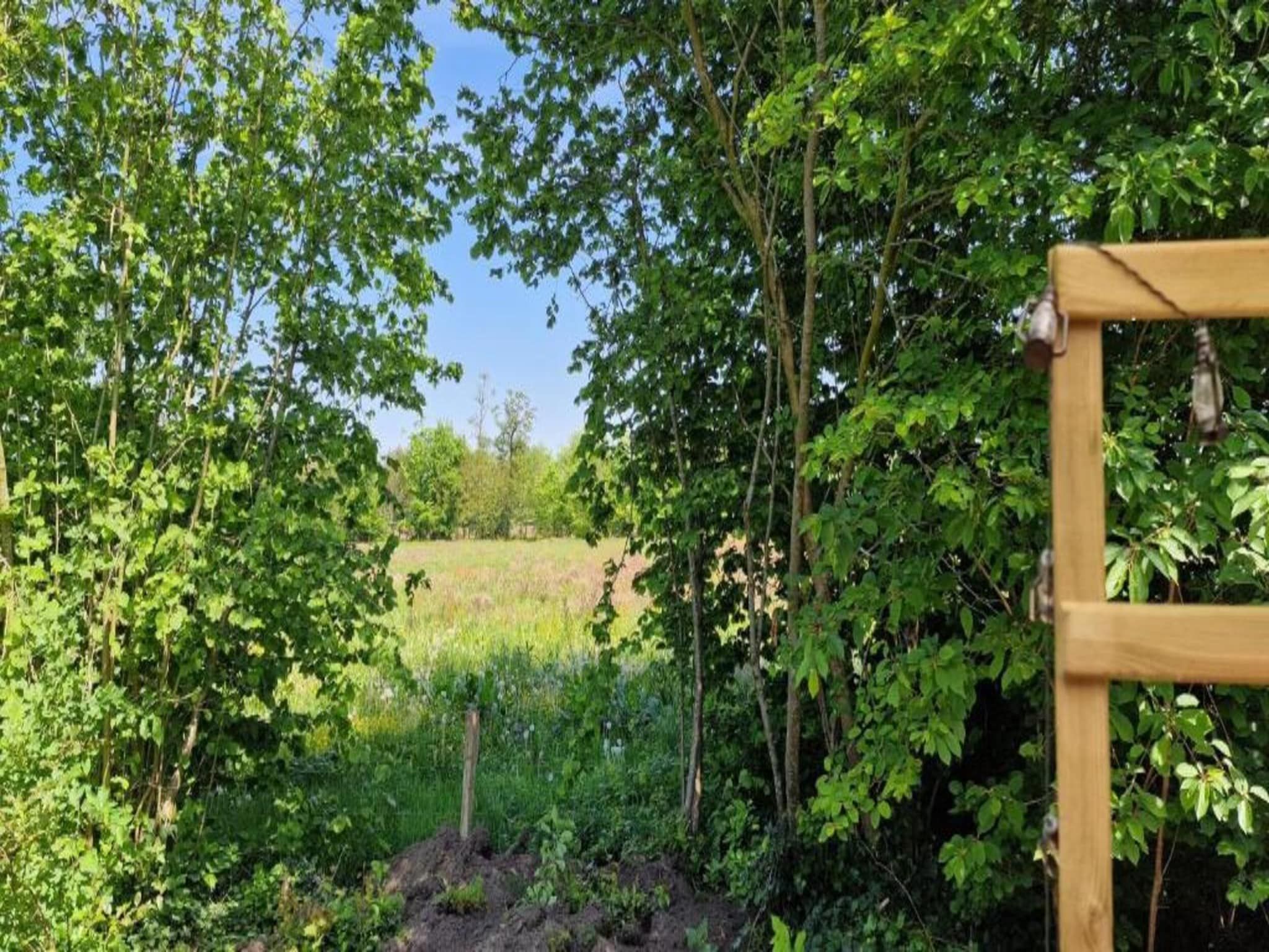 De omgeving van Heivlinder 4+2p in Ermelo