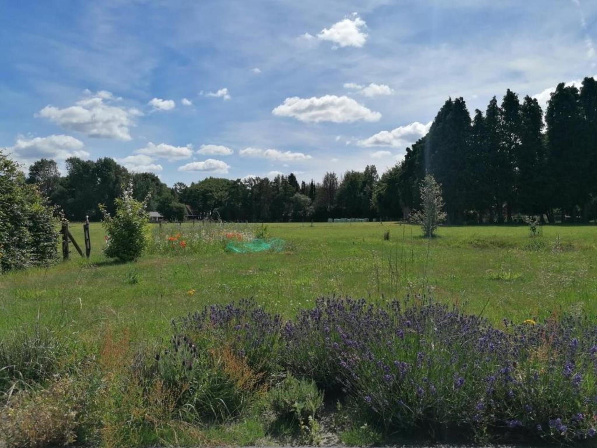 De omgeving van Vlindervallei Studio 2p in Ermelo