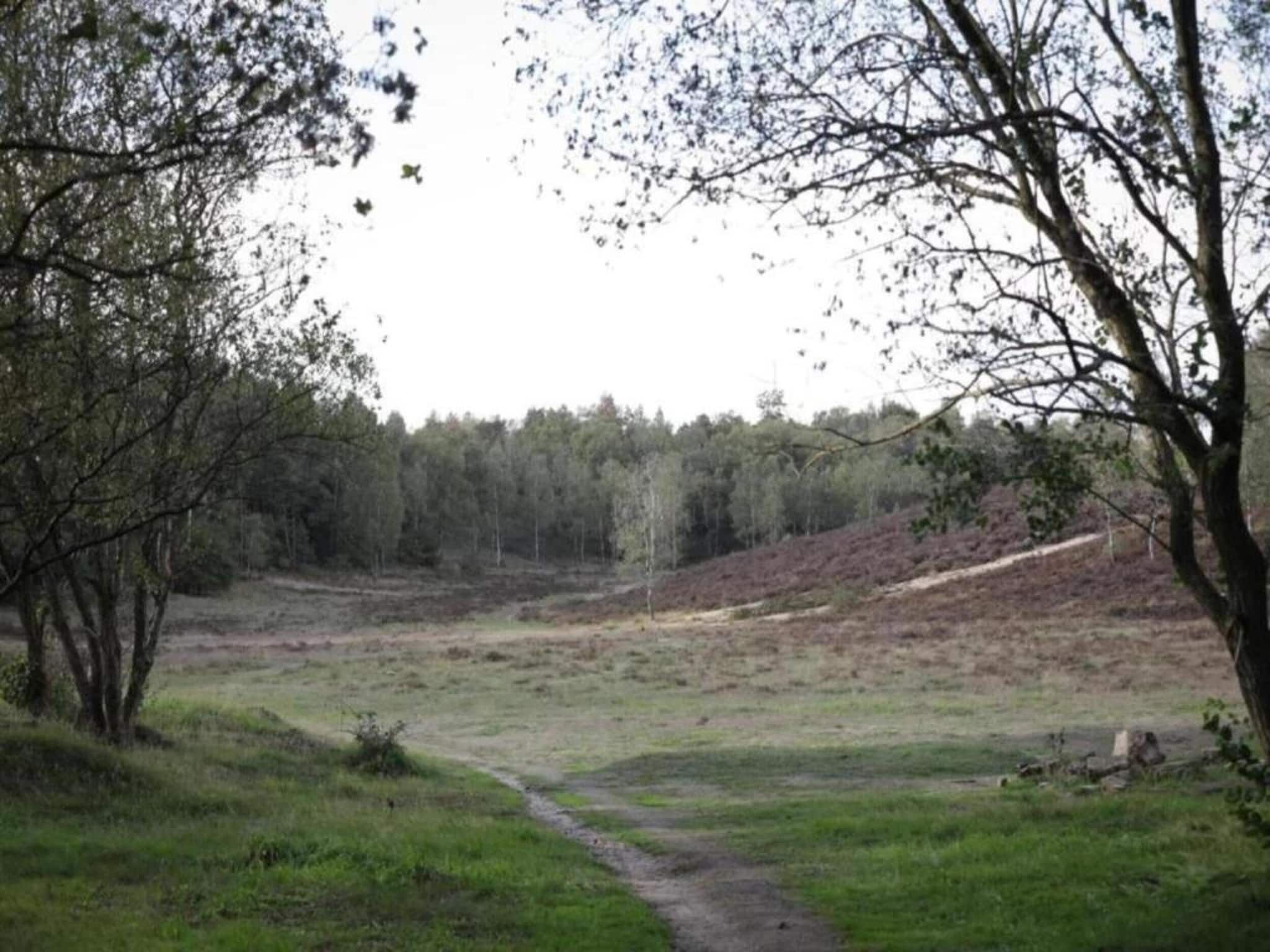 De omgeving van Vlindervallei Studio 2p in Ermelo