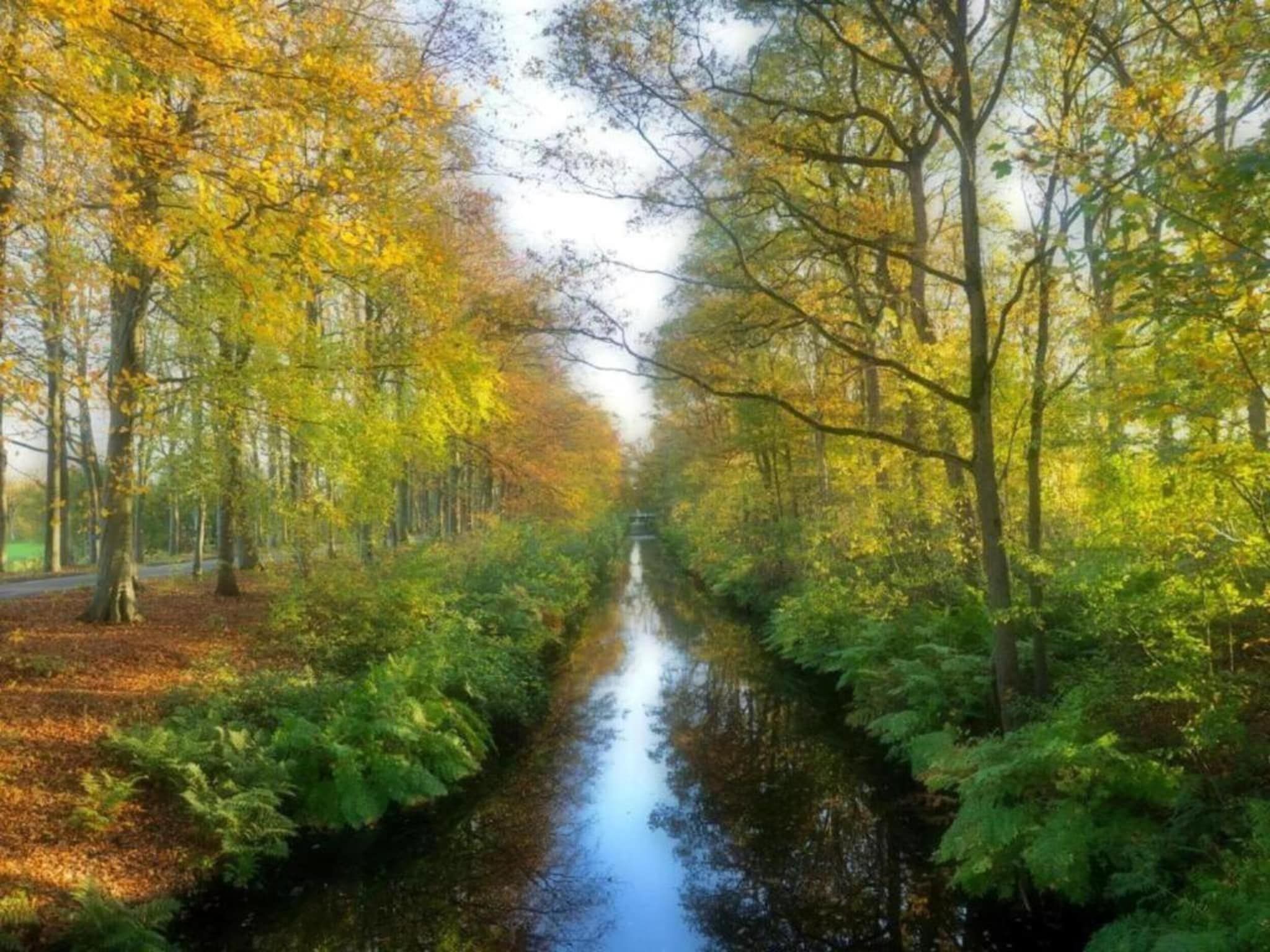 De omgeving van Docklodge 28 in Delfstrahuizen
