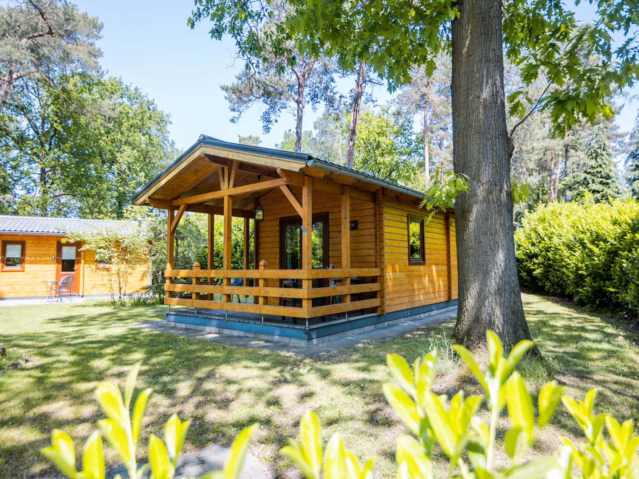 De buitenkant van 2-persoons wellness lodge in Markelo