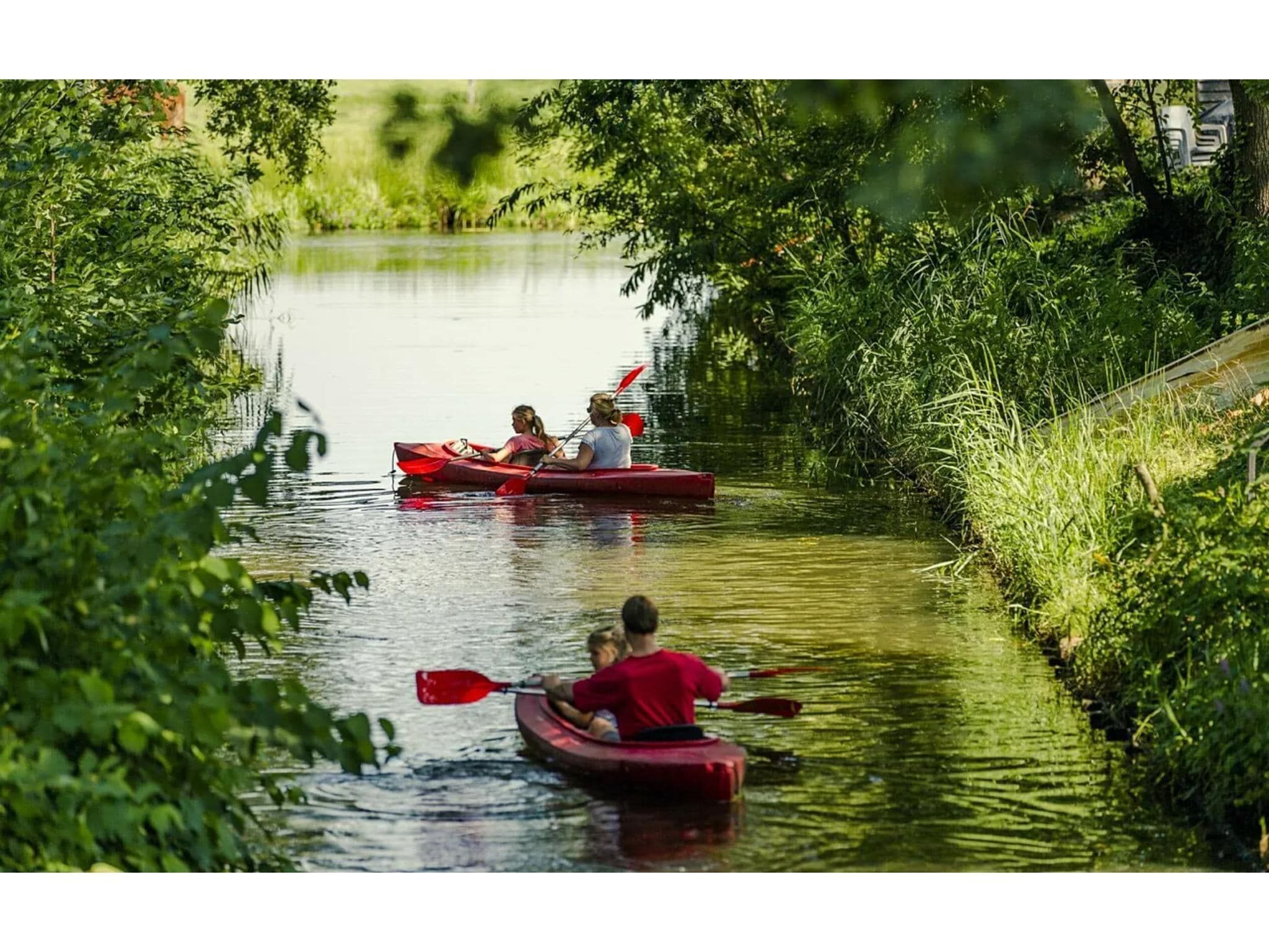 De omgeving van 4-persoons stenen bosvilla in Markelo