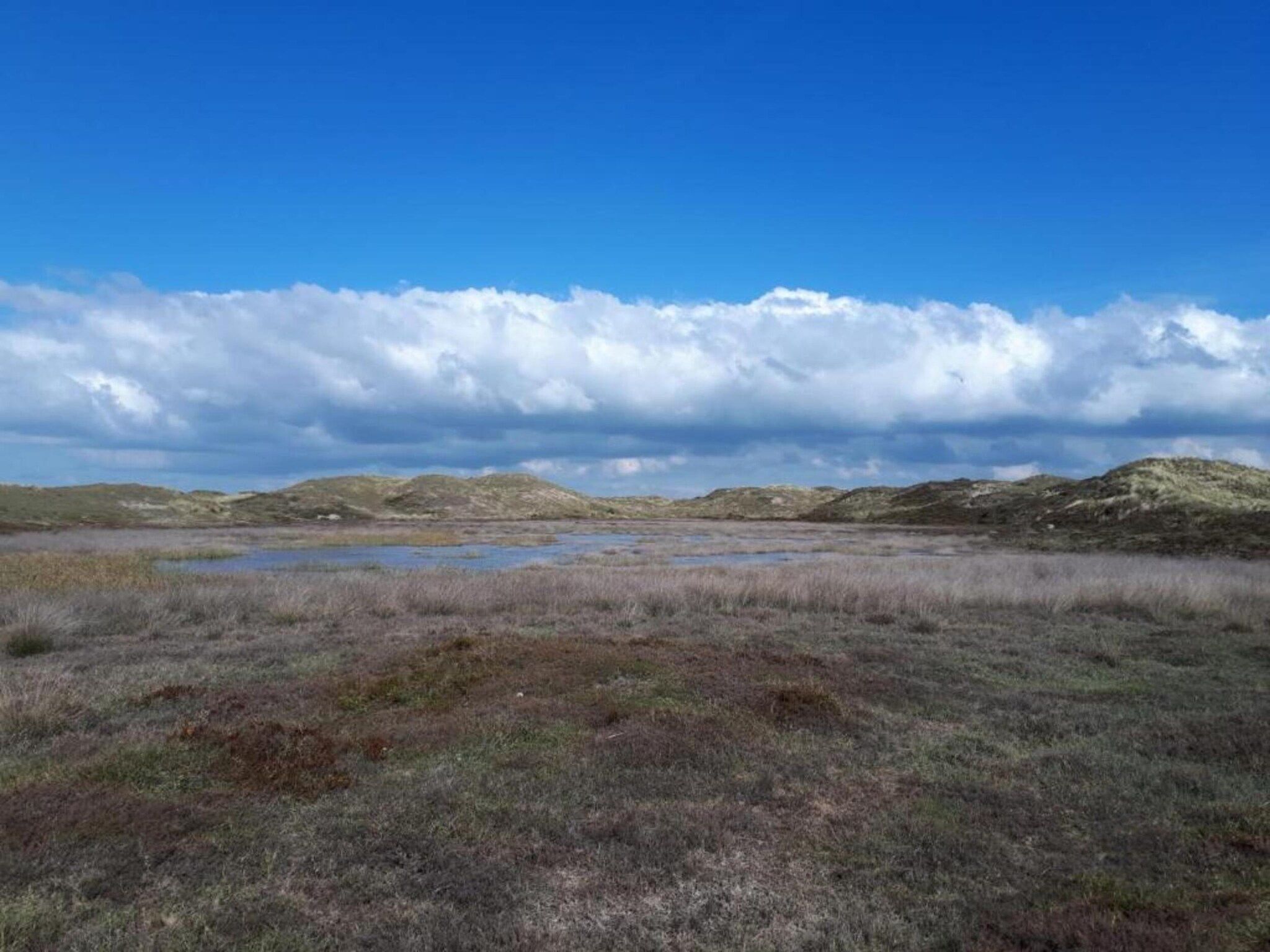 De omgeving van Campanula 120 in Sint Maartenszee