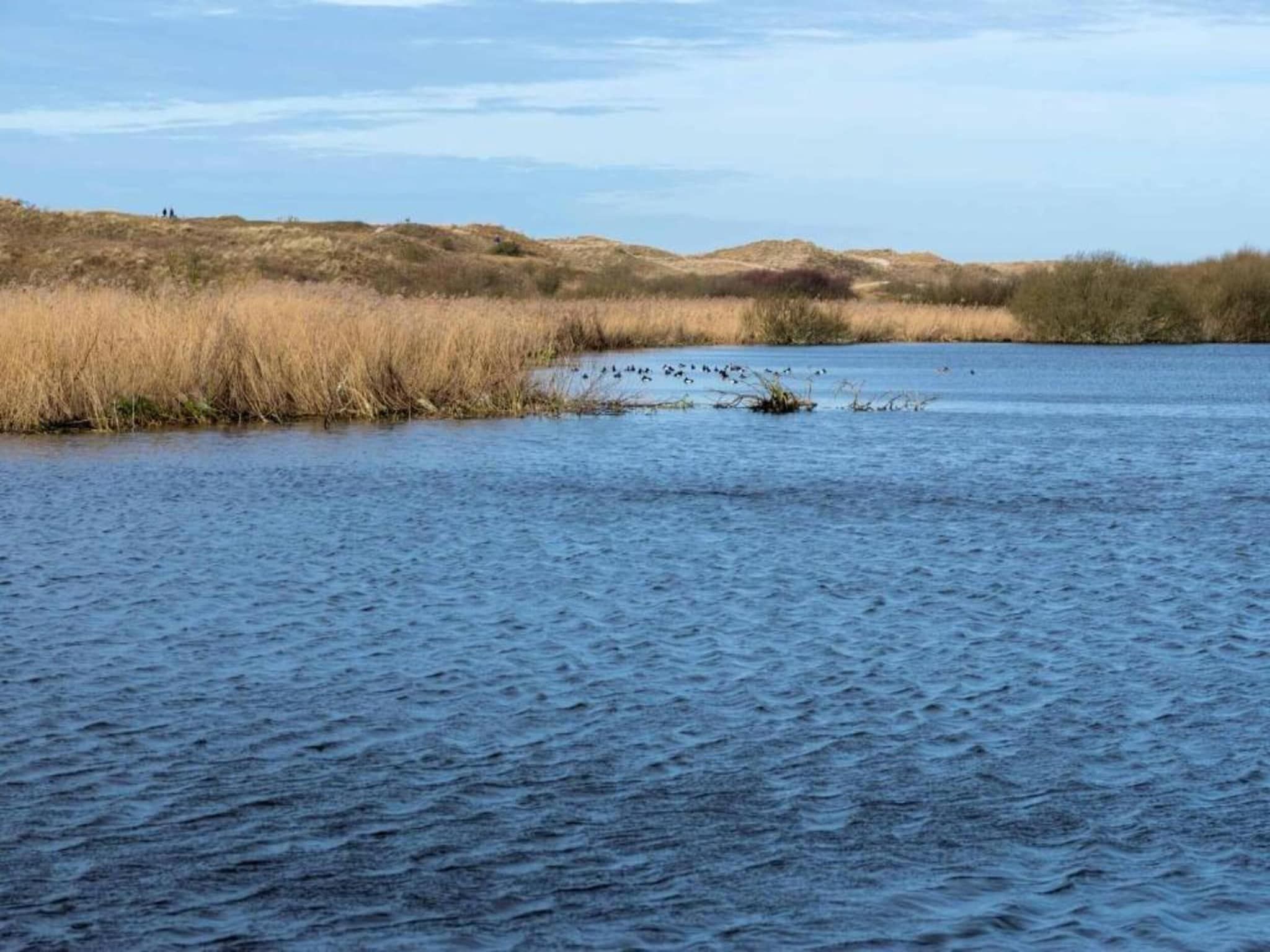 De omgeving van Campanula 120 in Sint Maartenszee