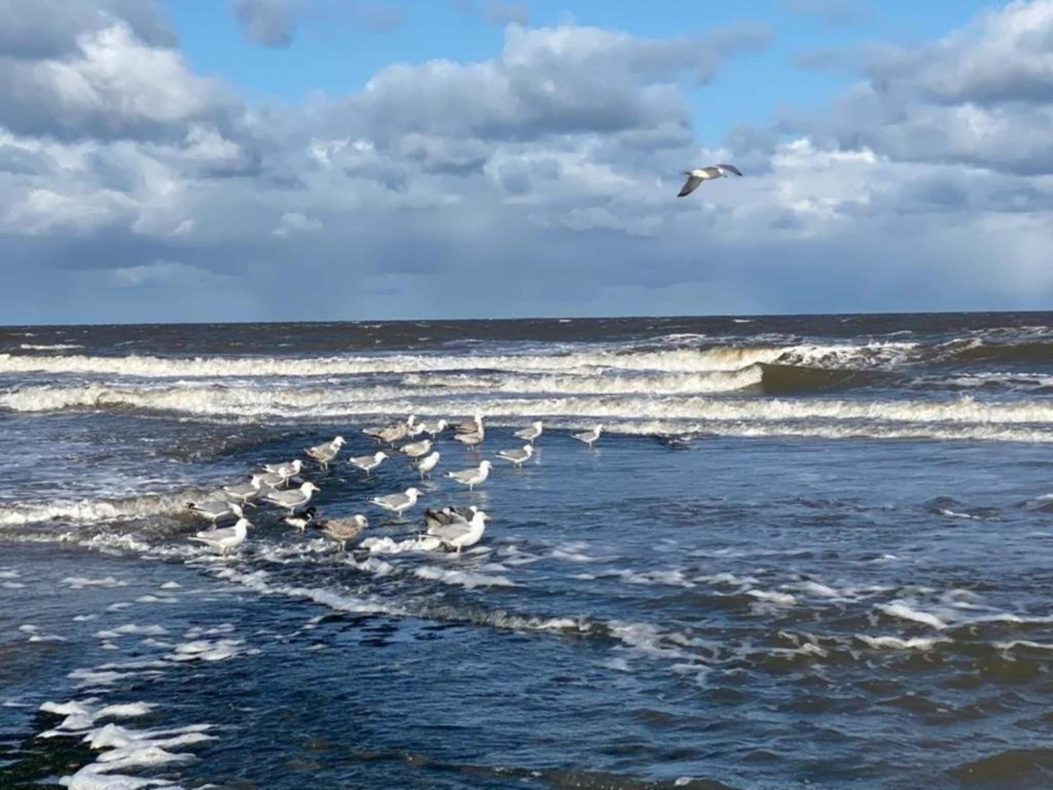 De omgeving van Campanula 120 in Sint Maartenszee