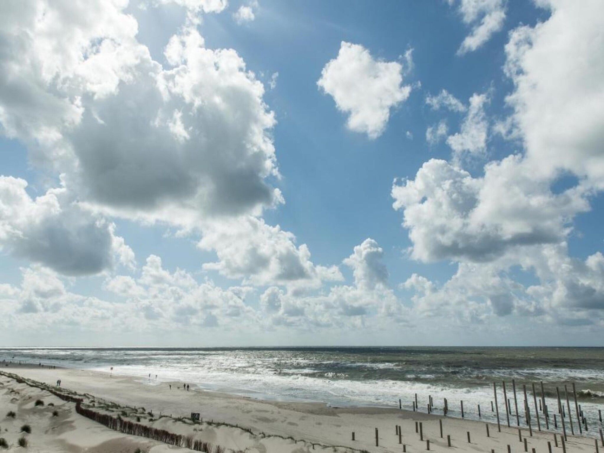 De omgeving van Wildrijk 141 in Sint Maartenszee
