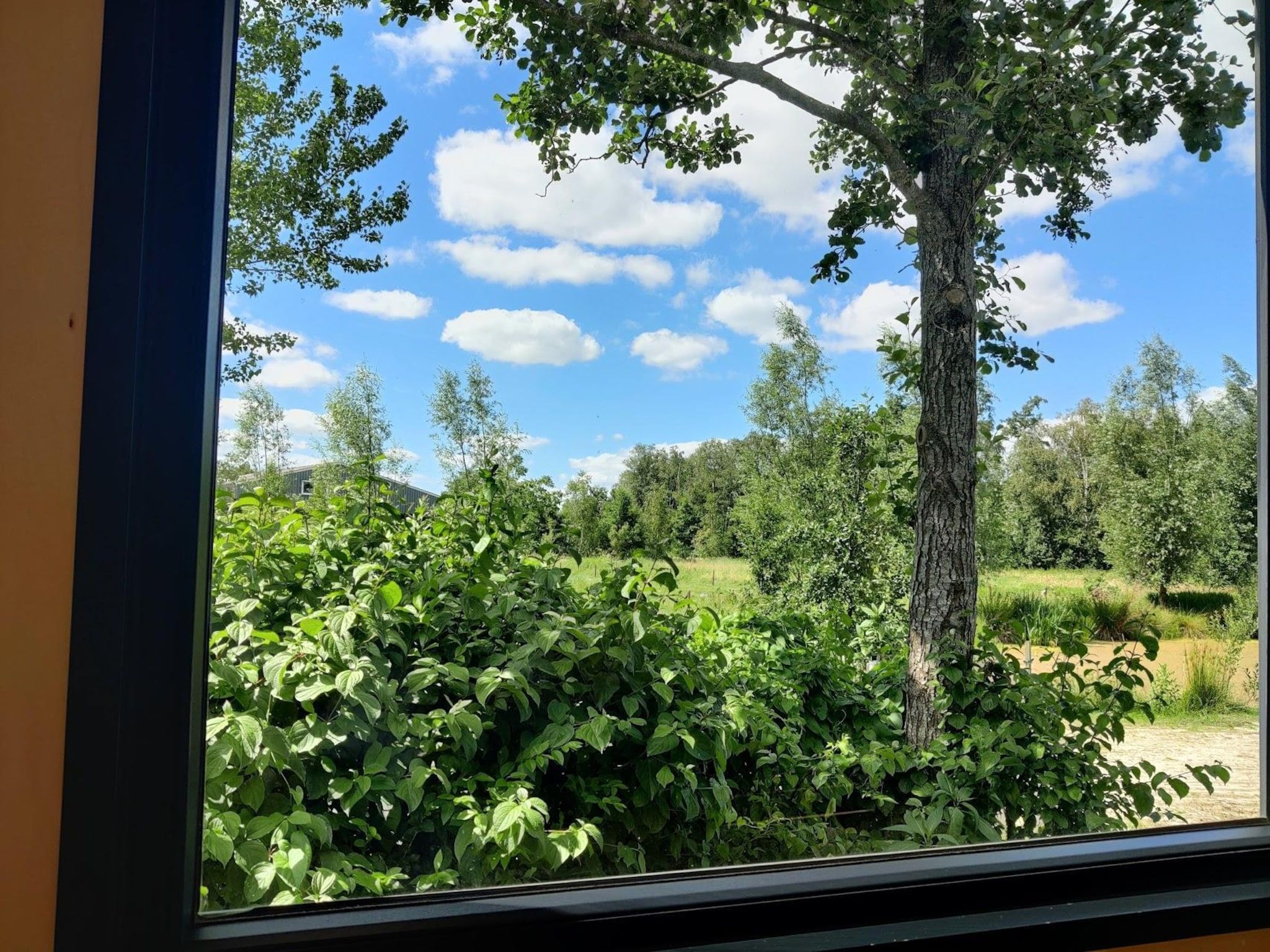 Groepsaccommodatie + 4 large greenhouses (36 personen) in Scherpenzeel (FR) - Foto 39 van 39