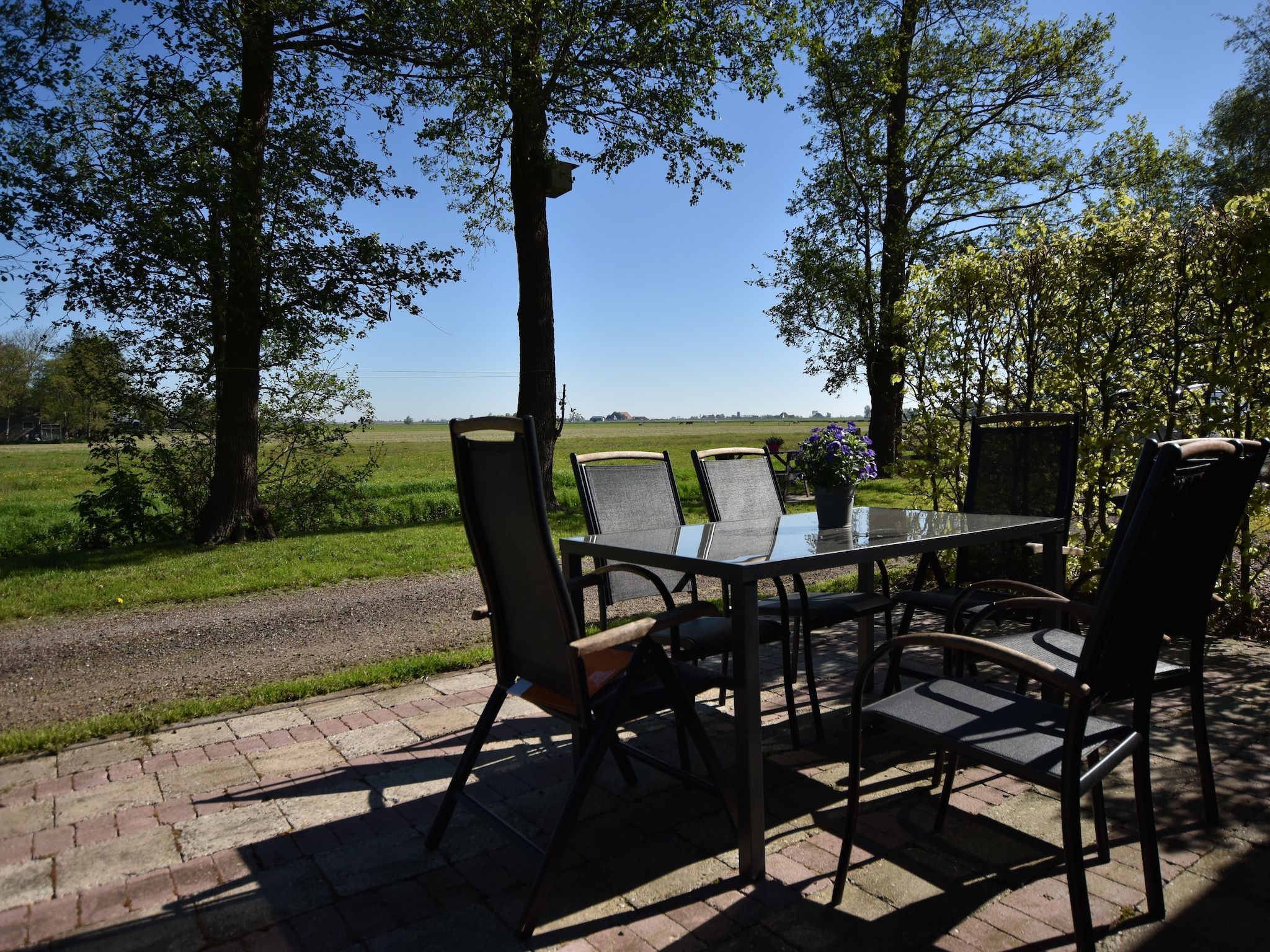 Het terras van Berkenhof 8 personen in Workum